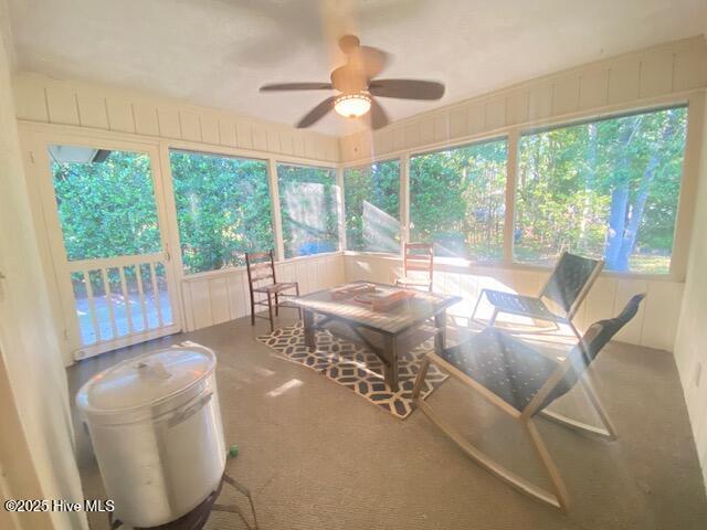 100537292 | Photo 20