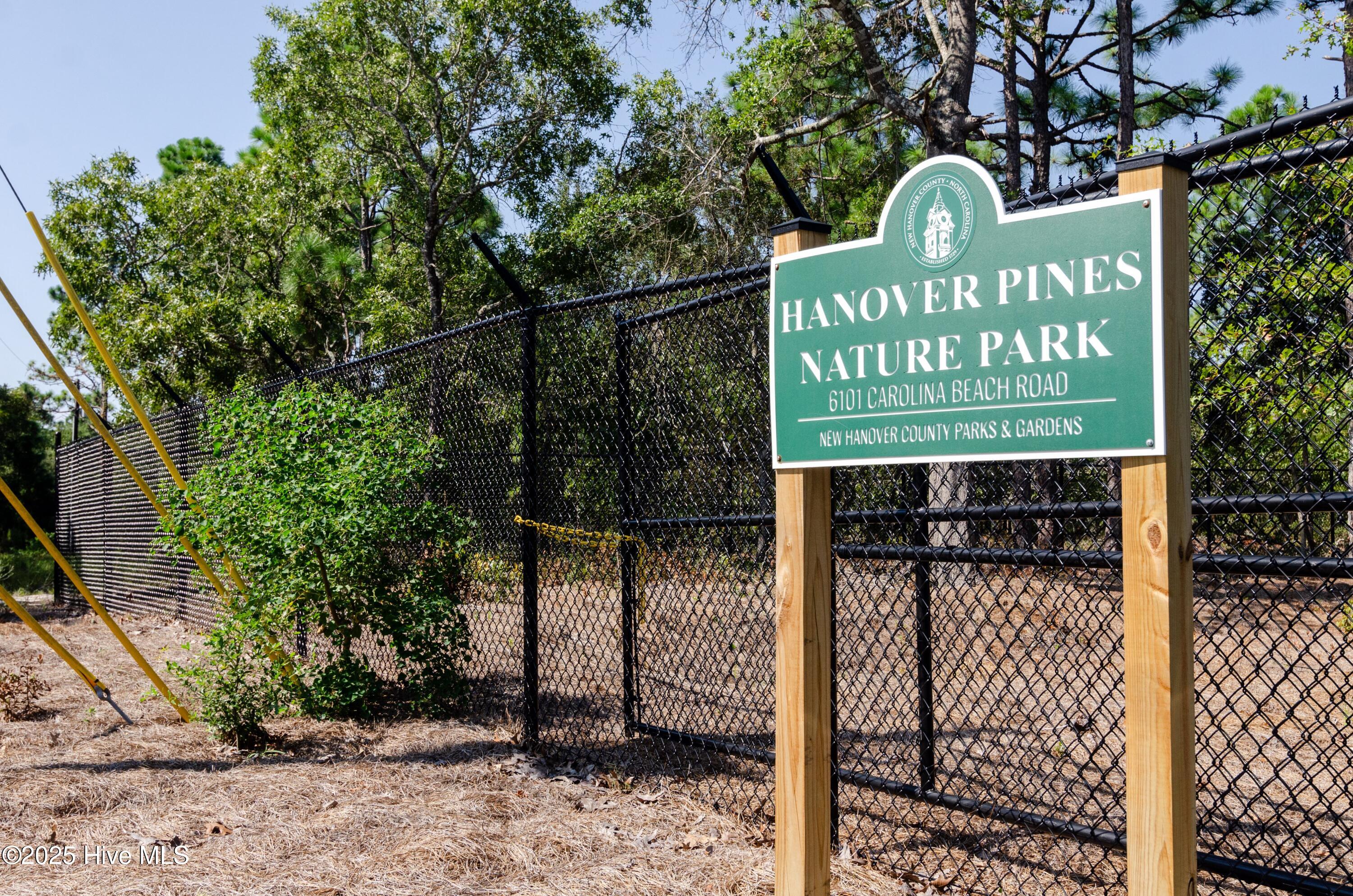 100537439 | Photo 22