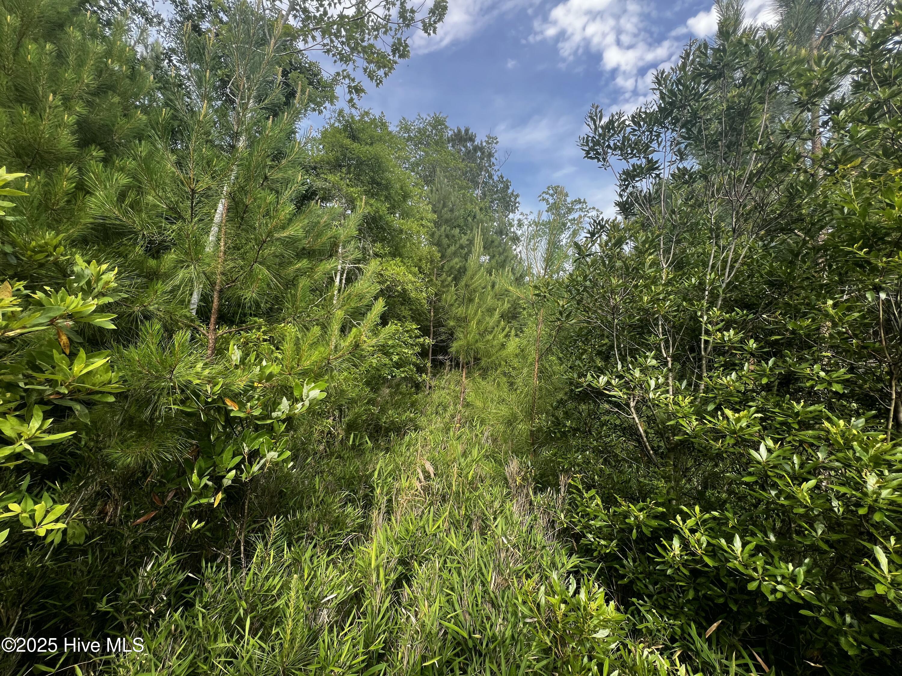 0 White Farm Road,Oriental