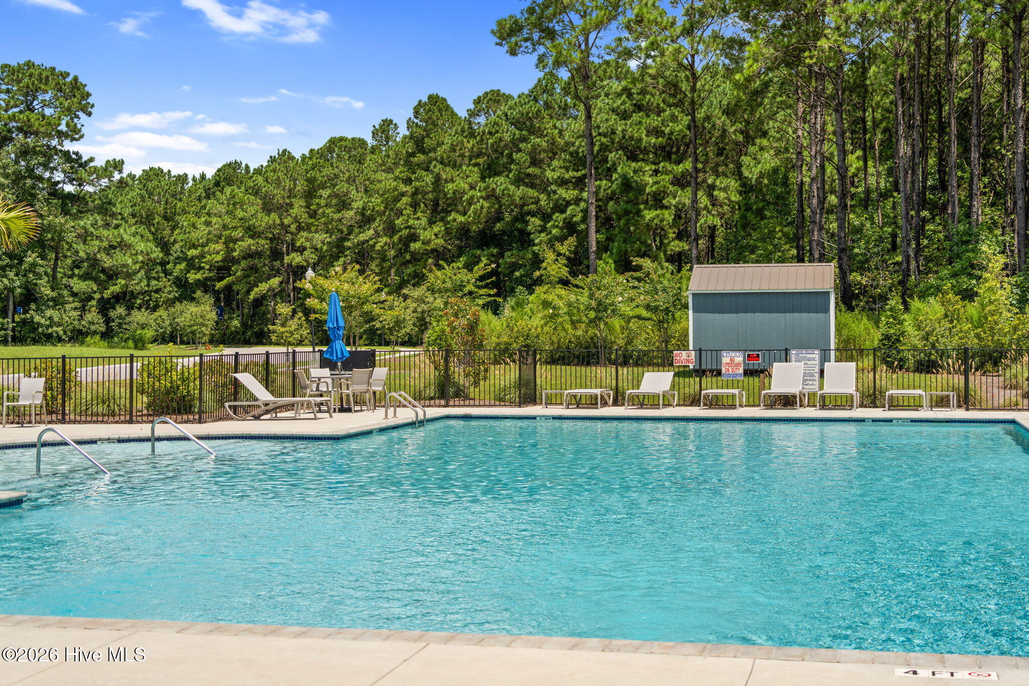 100556458 | Photo 36