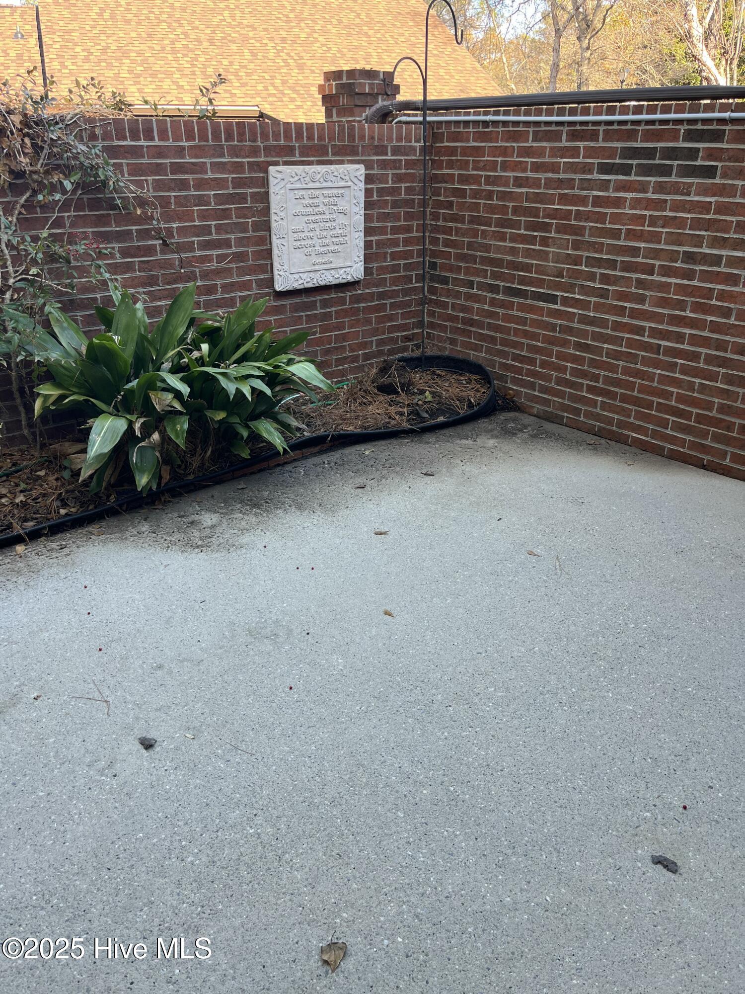 100546535 | Photo 40