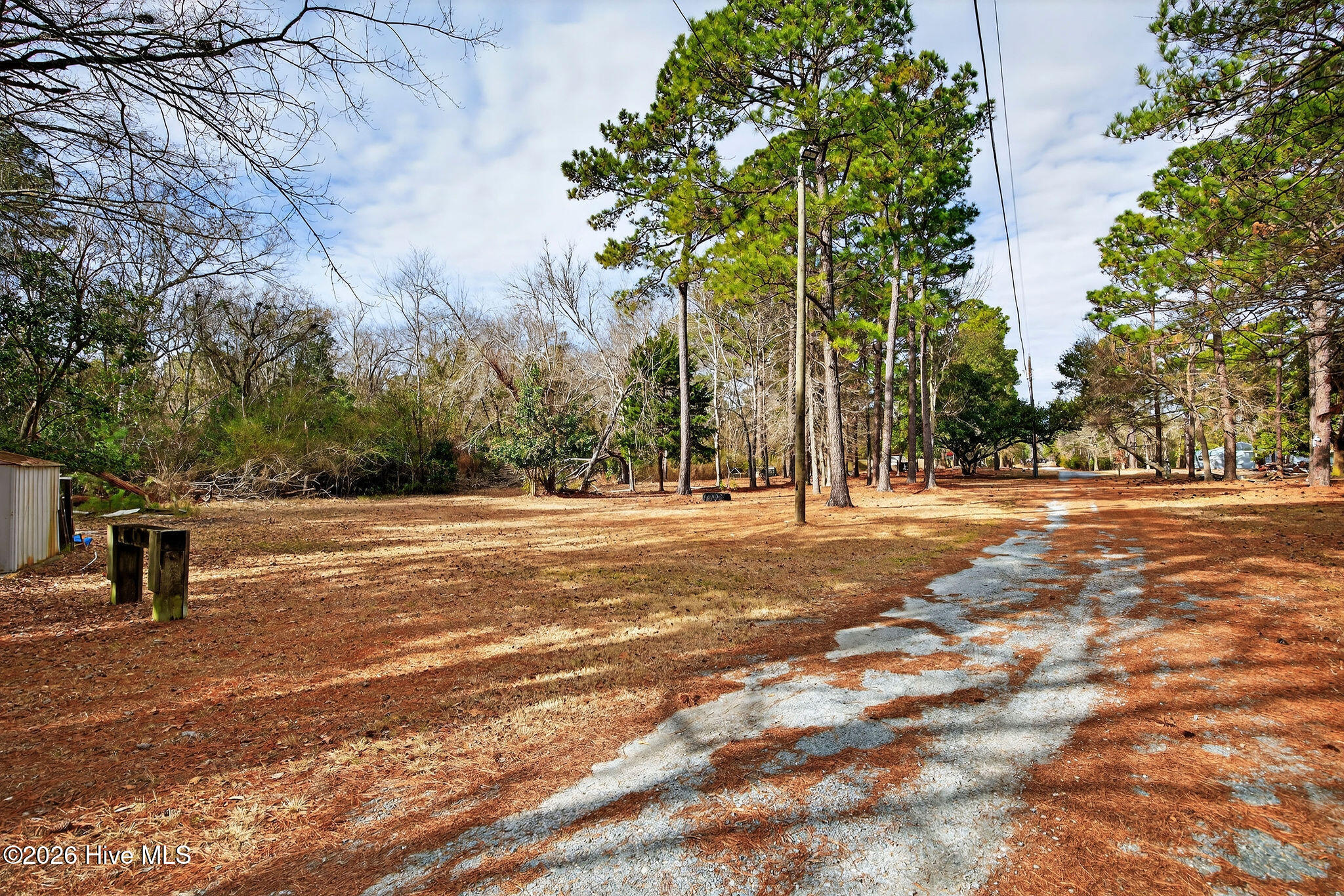 100552398 | Photo 47