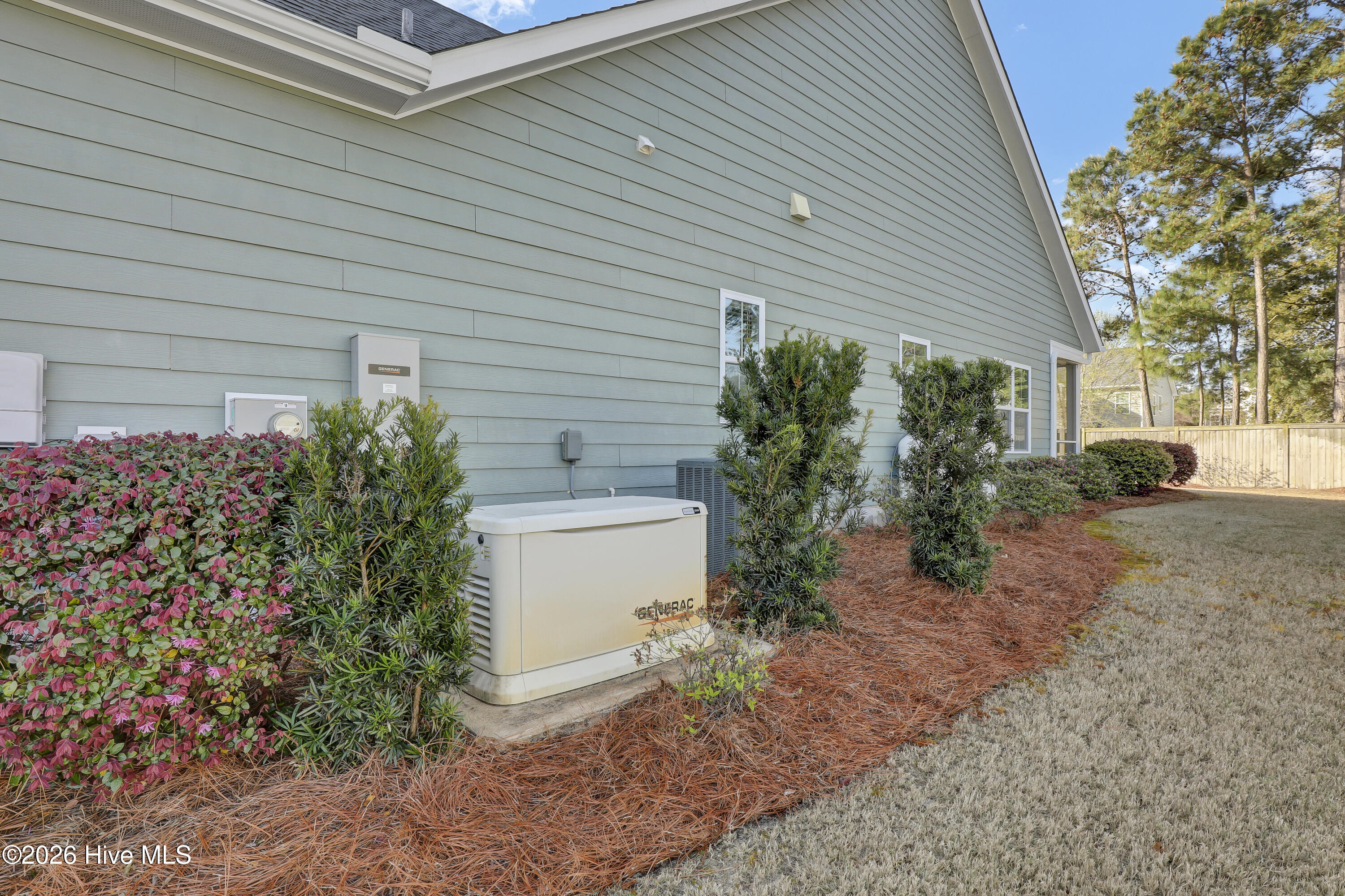 100564151 | Photo 30