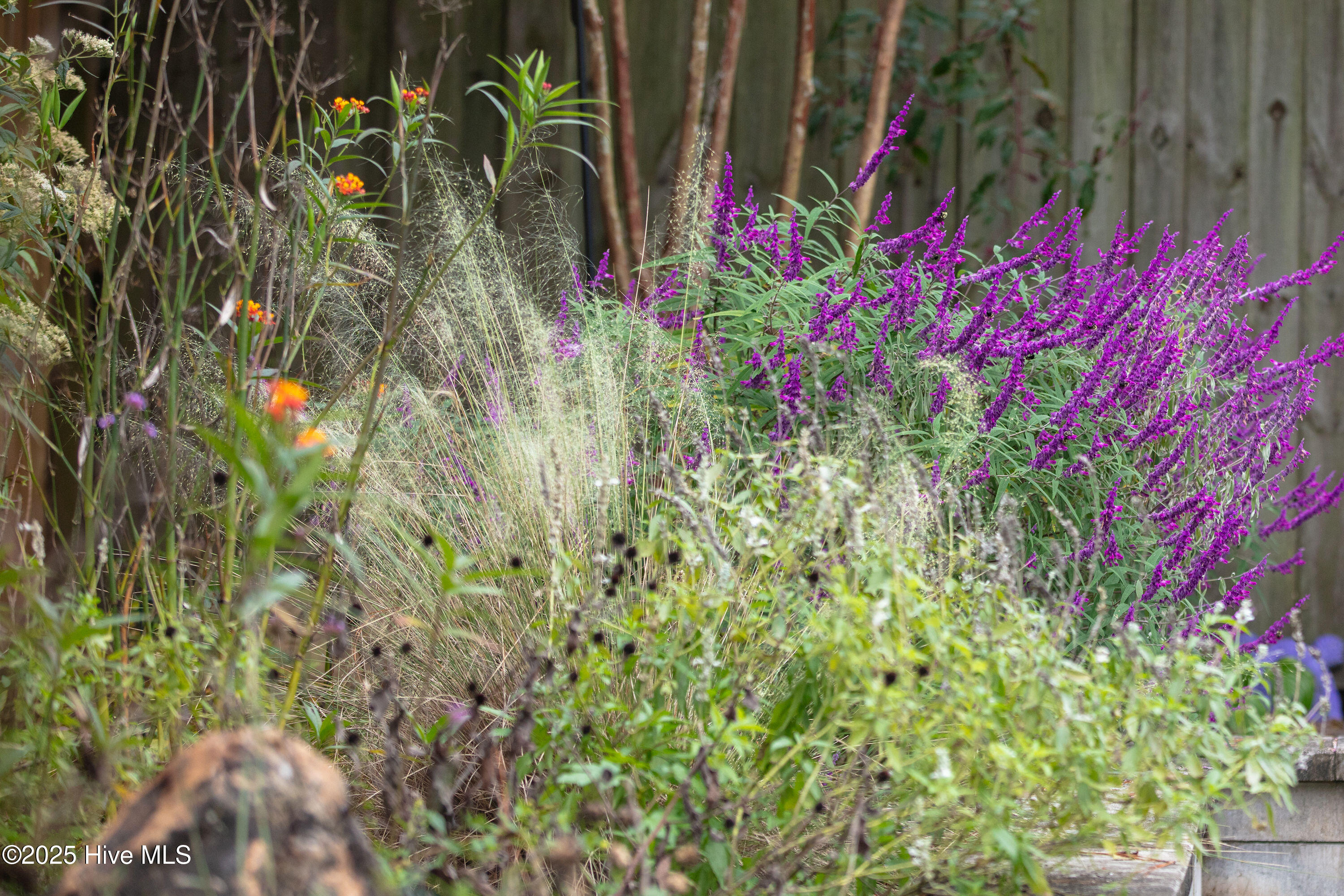 100541025 | Photo 14