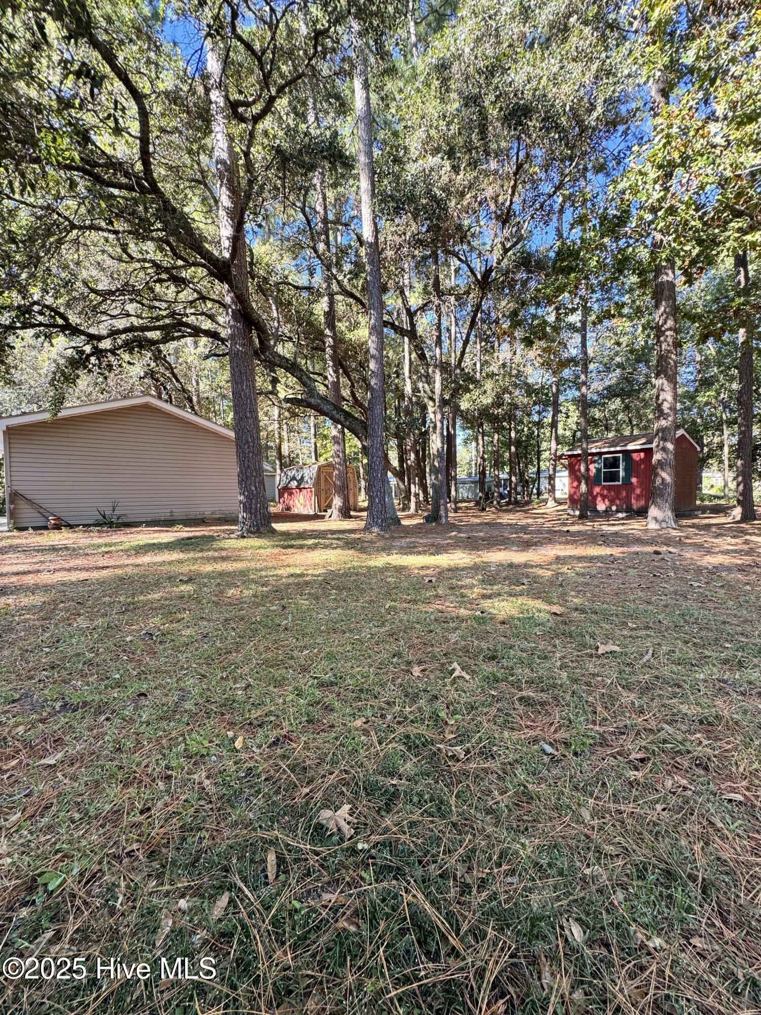 100538236 | Photo 73