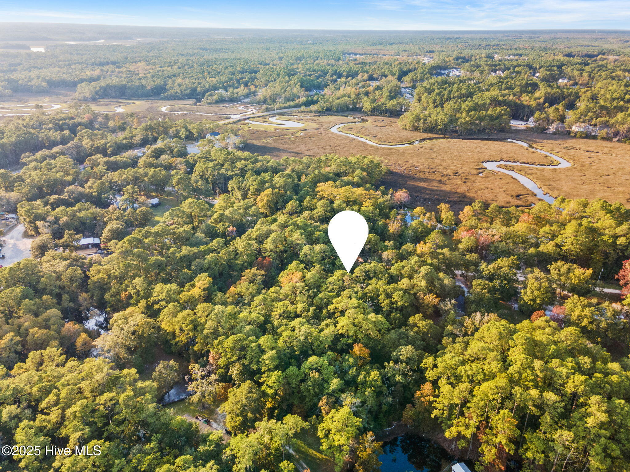 100499617 | Photo 12