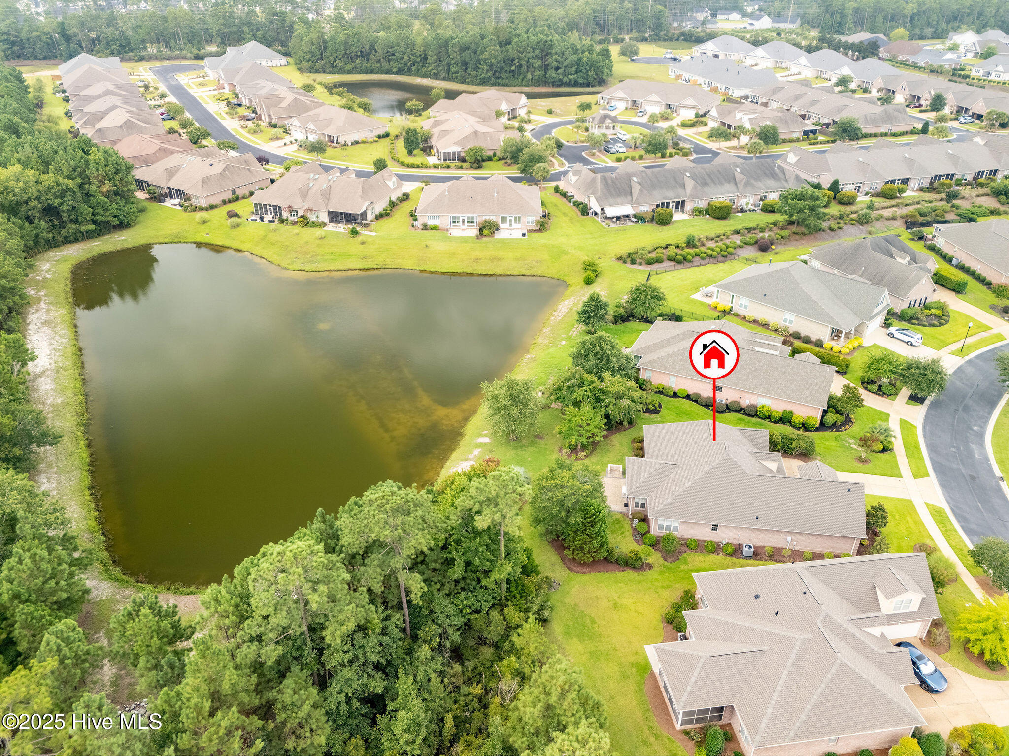 100524928 | Photo 46