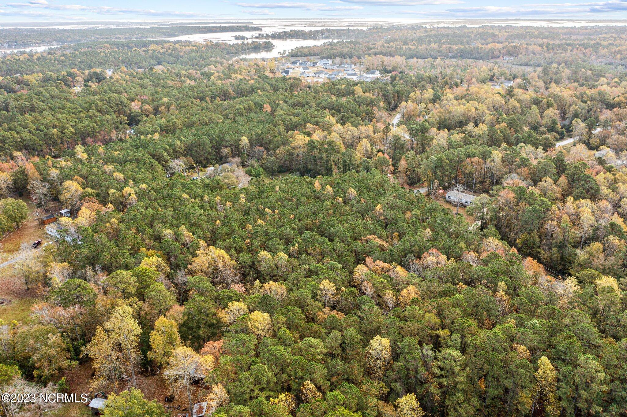 100415479 | Photo 13