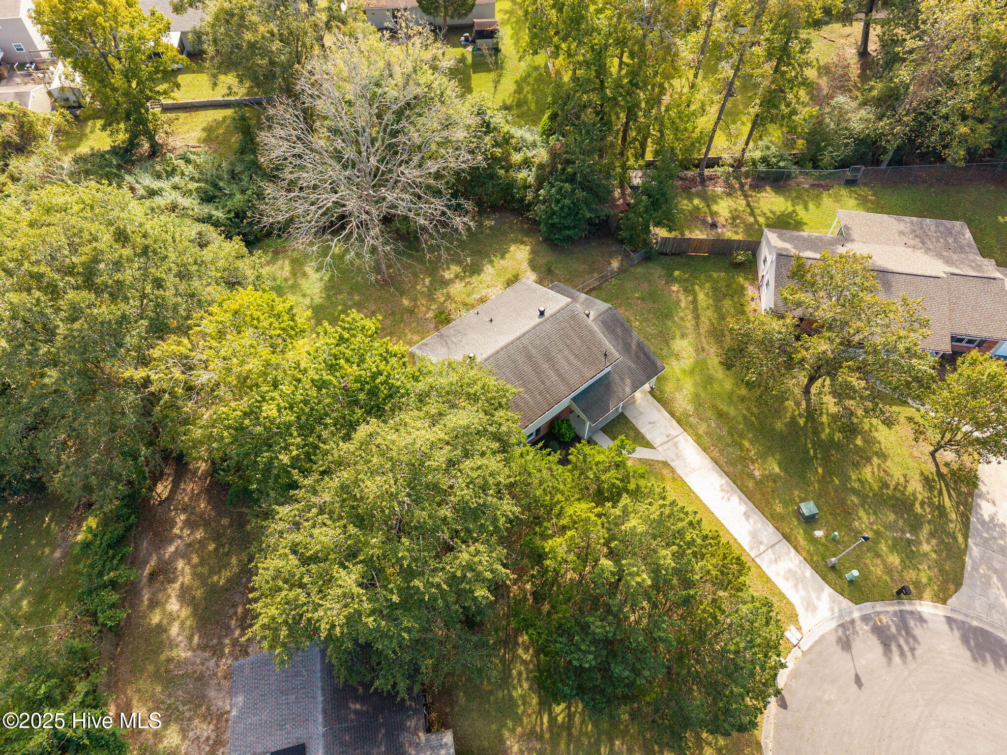 100539019 | Photo 37