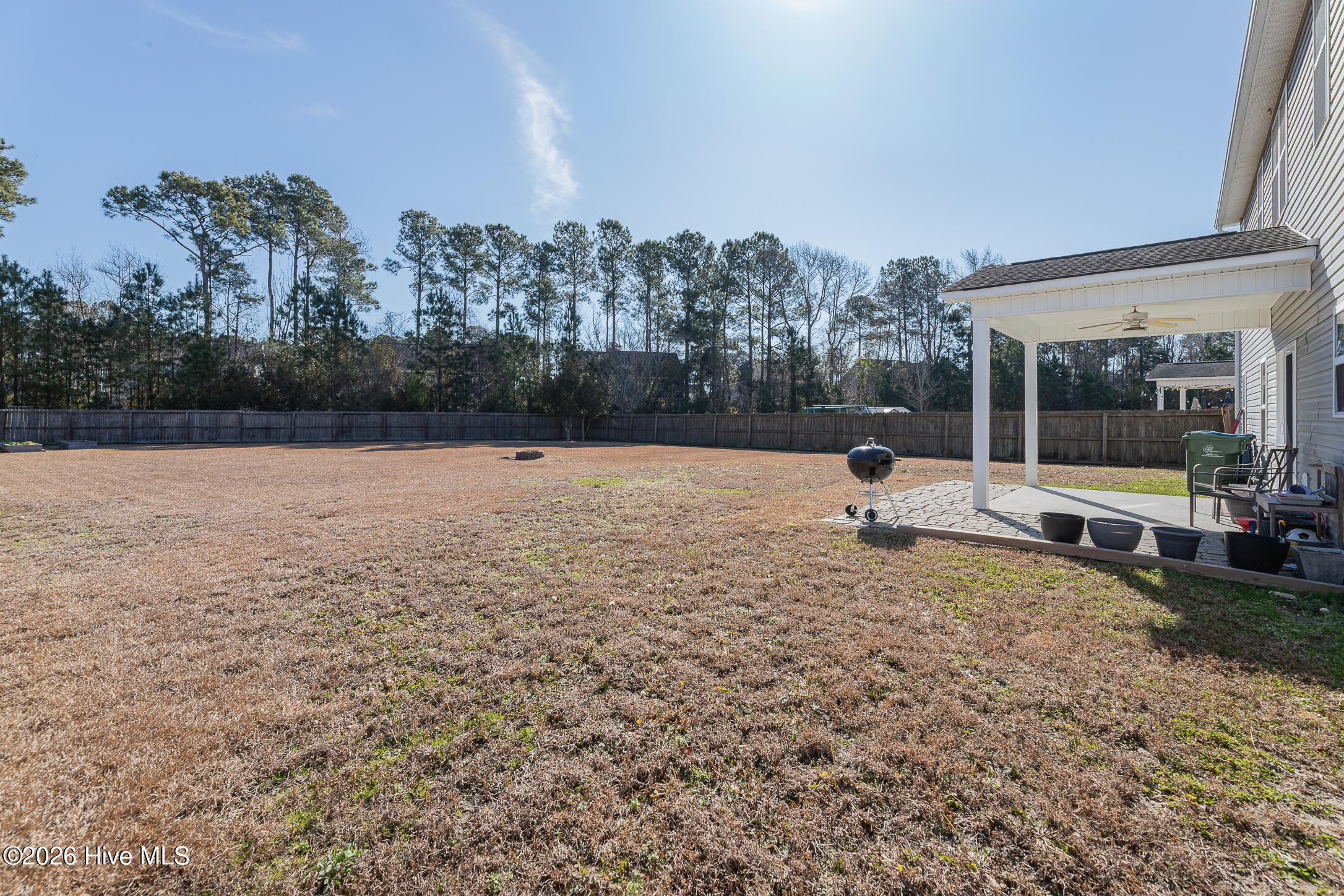 100554751 | Photo 59