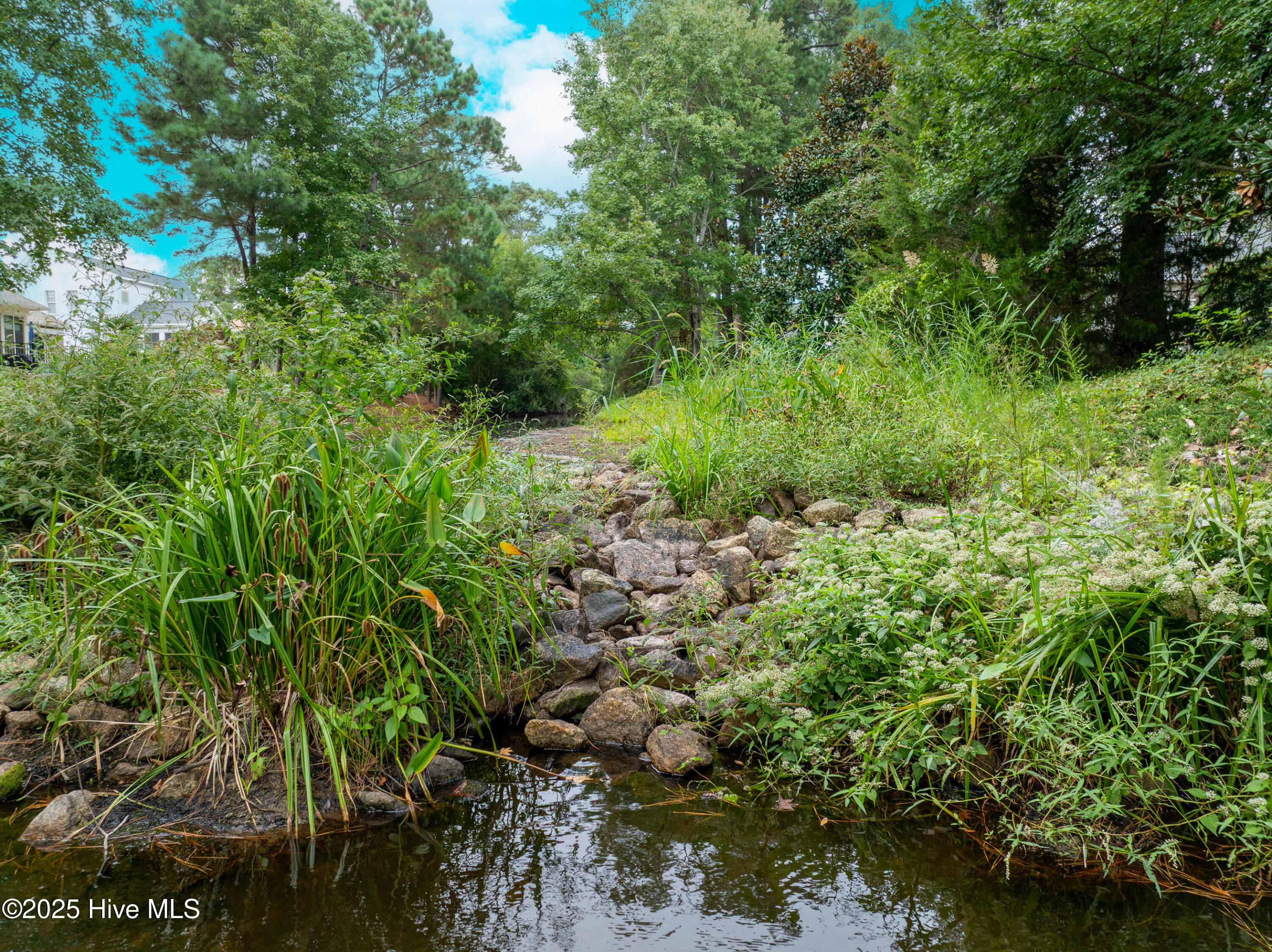 100505939 | Photo 57