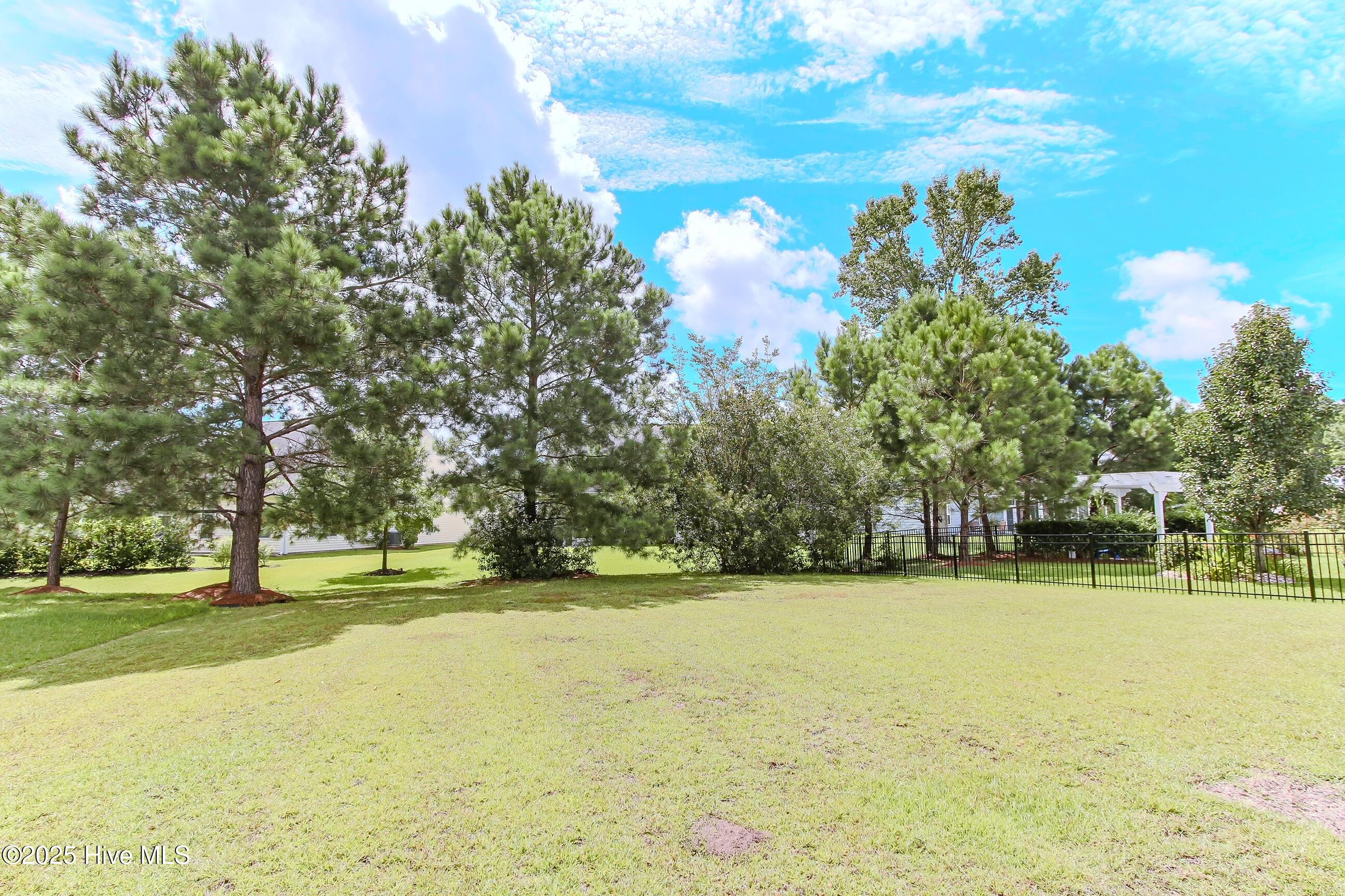 100525378 | Photo 46