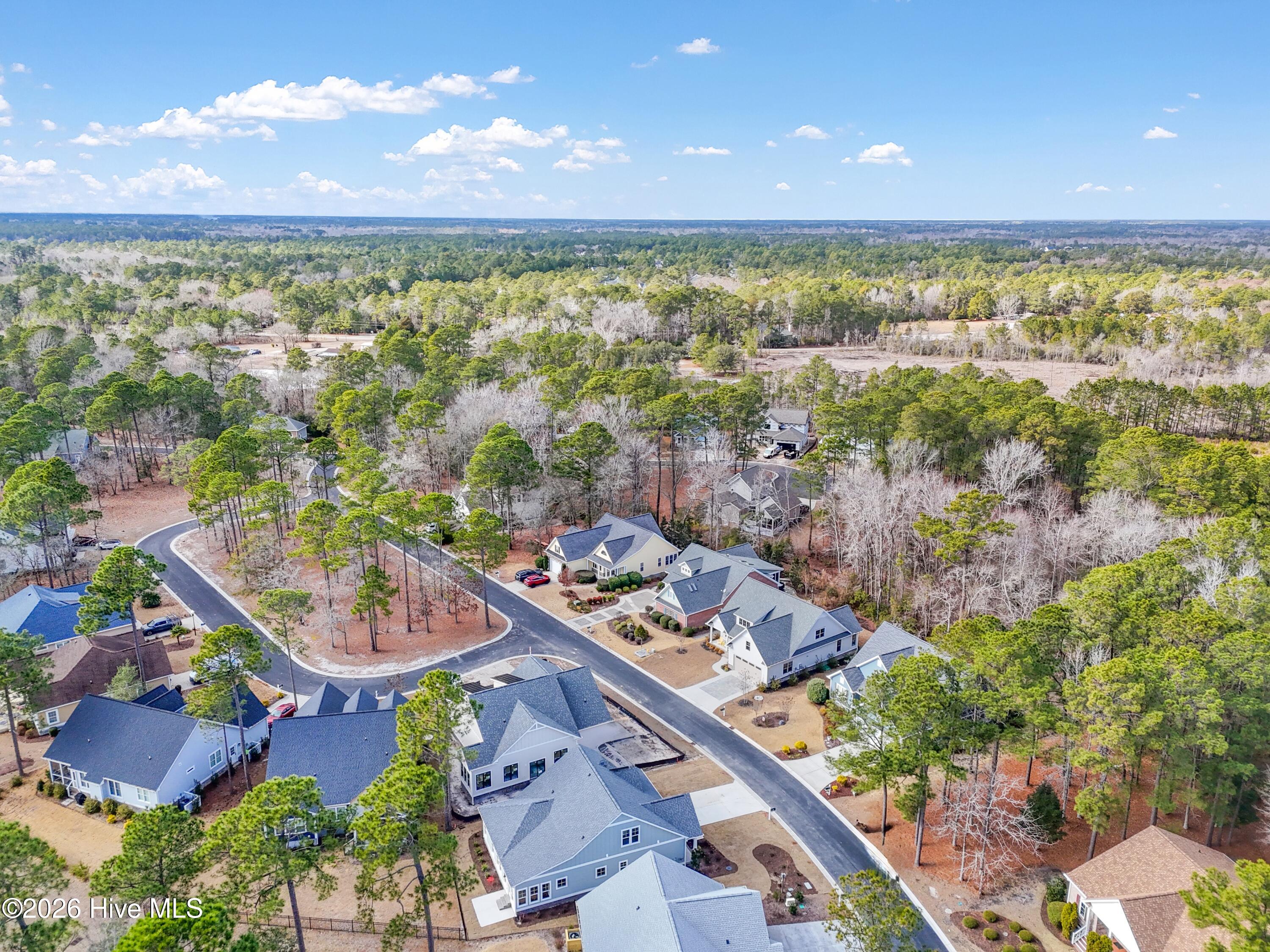 100533287 | Photo 40