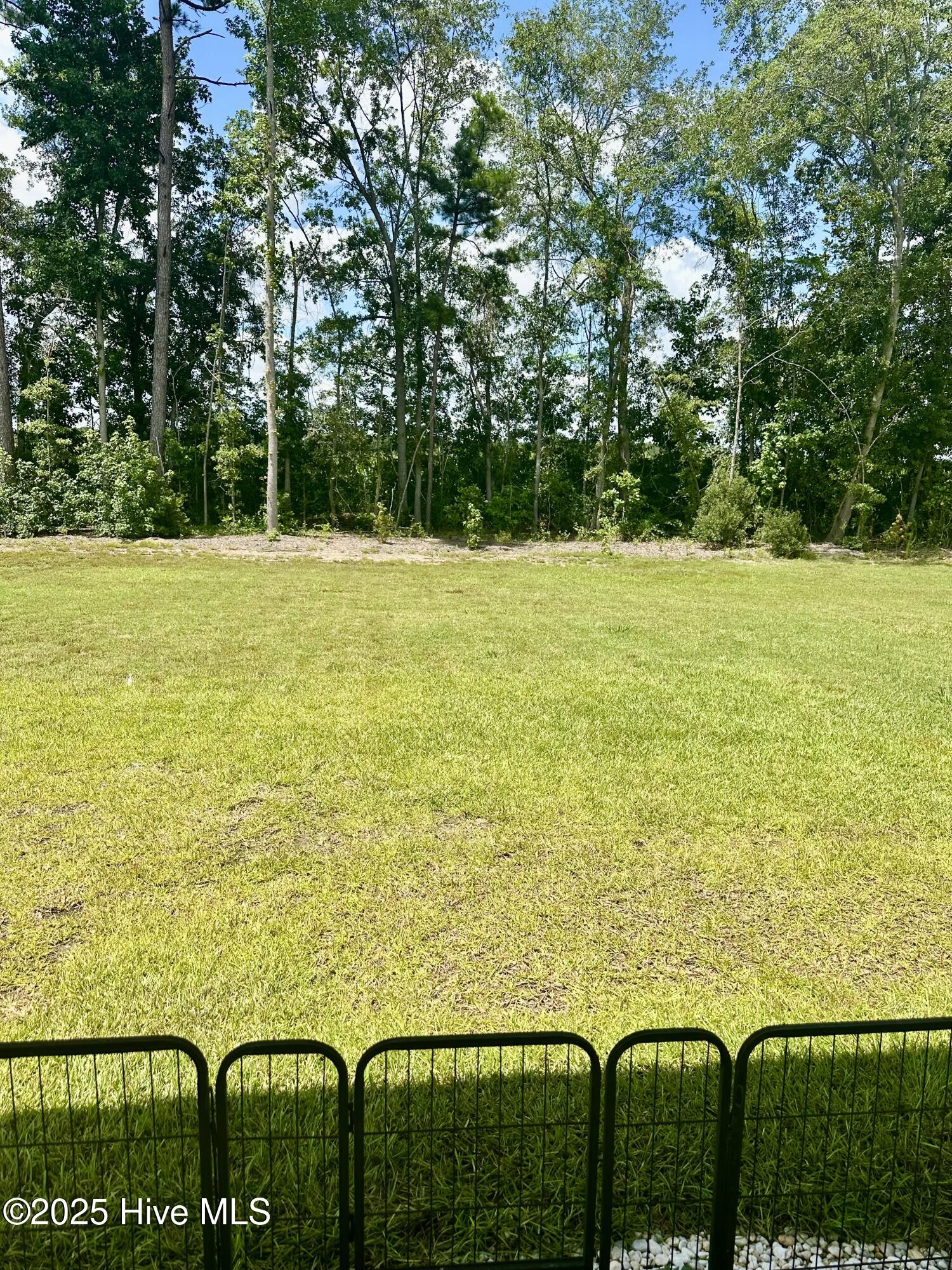 100517382 | Photo 26