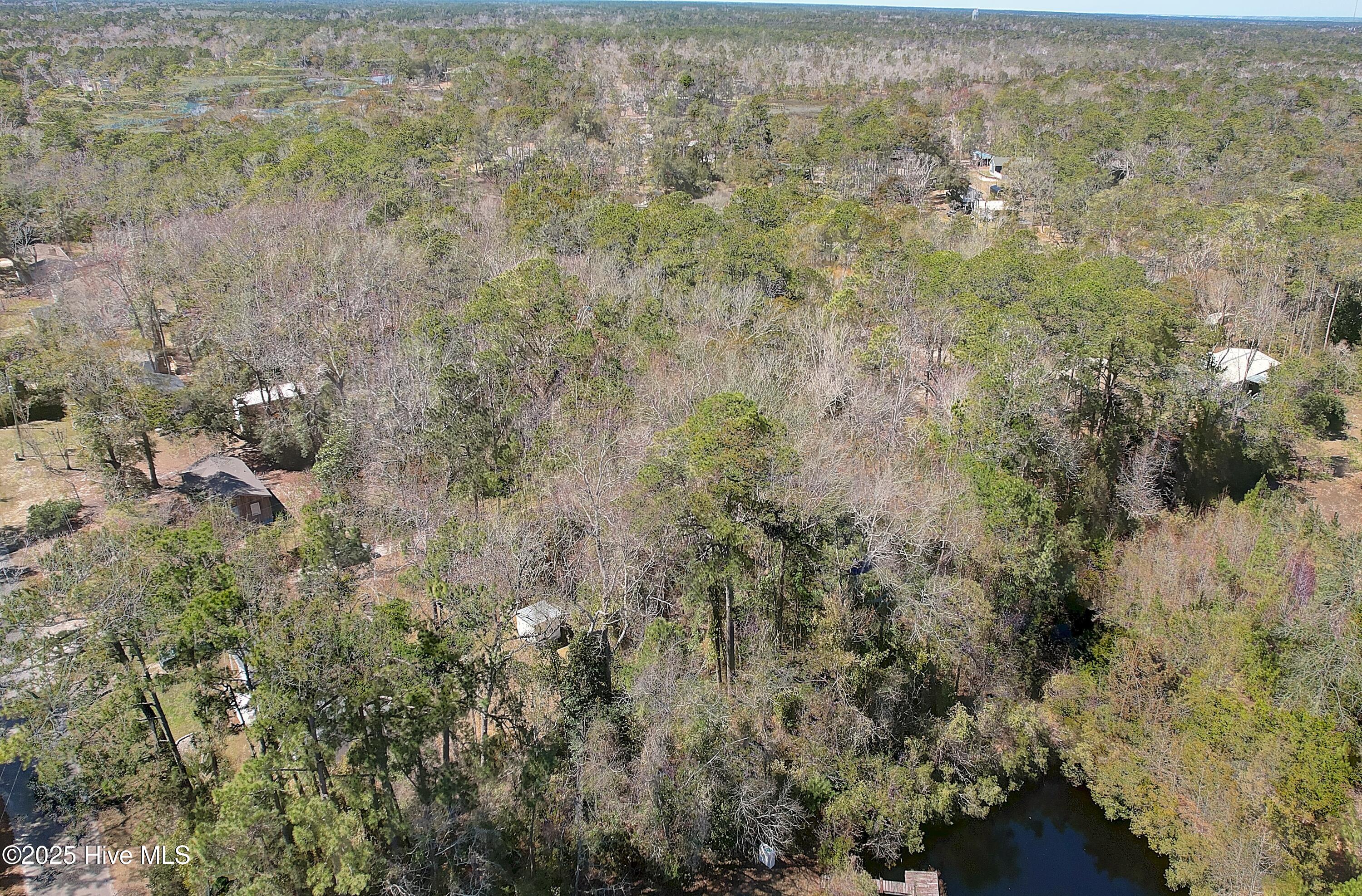 100543112 | Photo 17