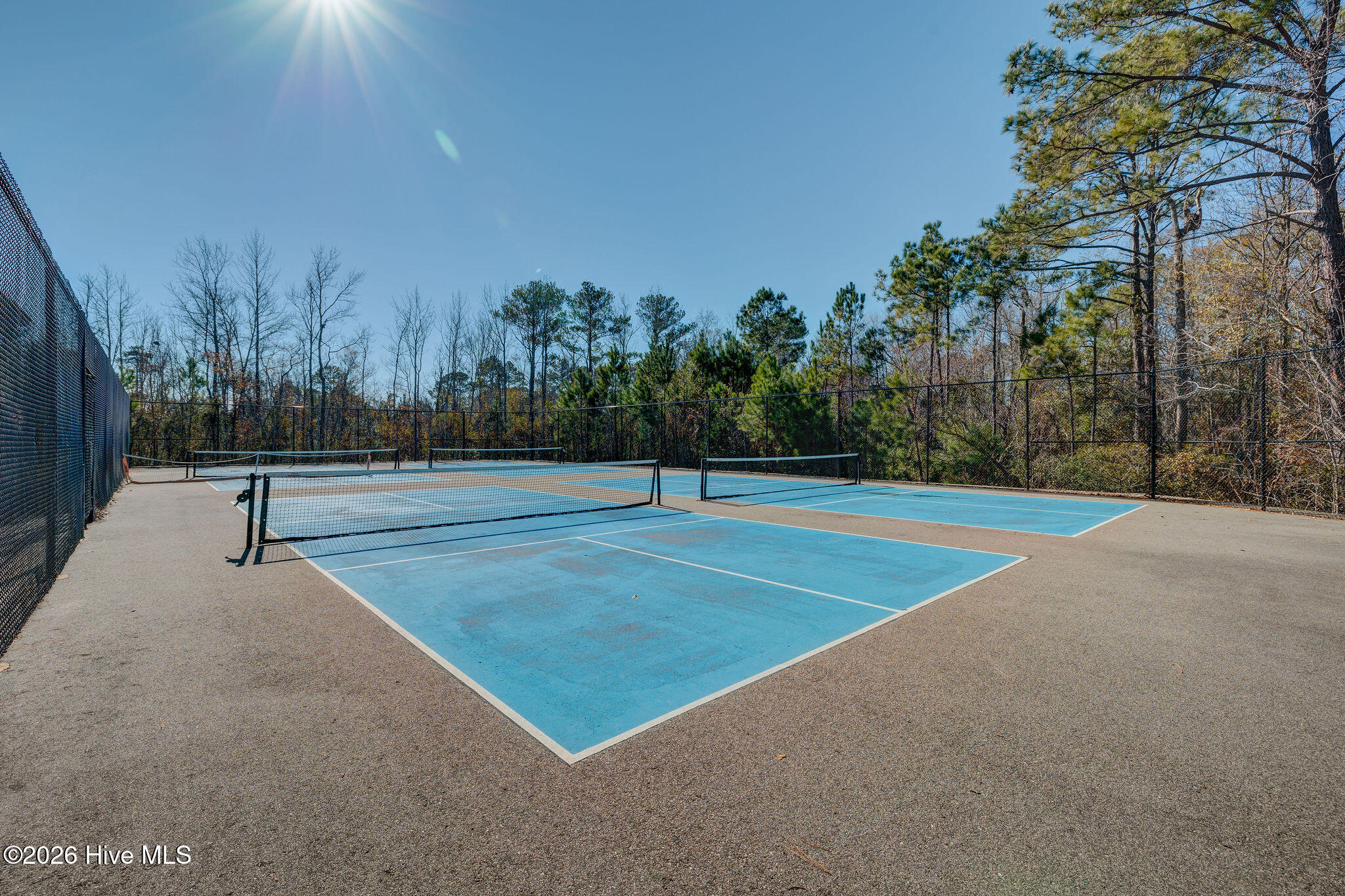 100566278 | Photo 63