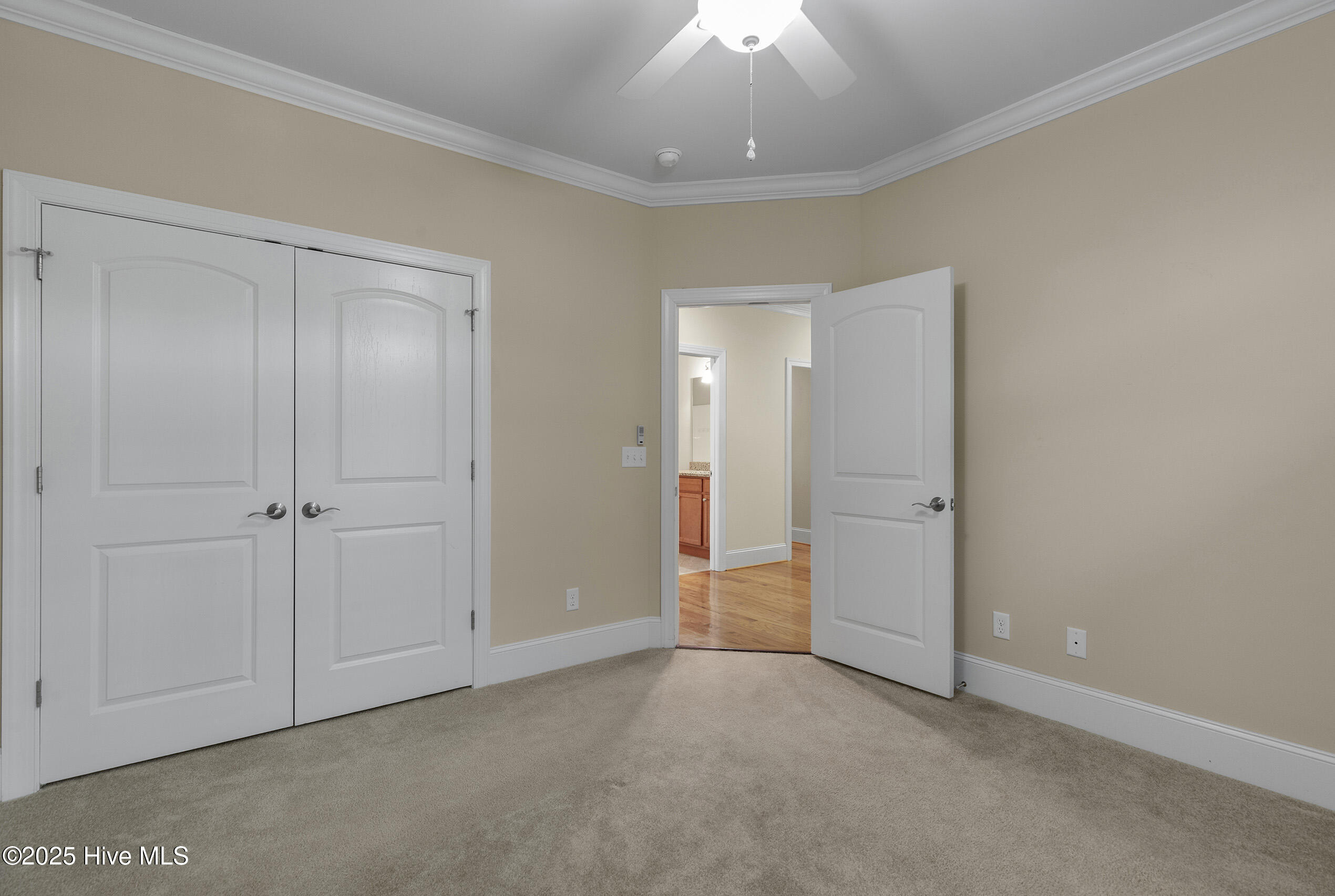 100556749 | Photo 38