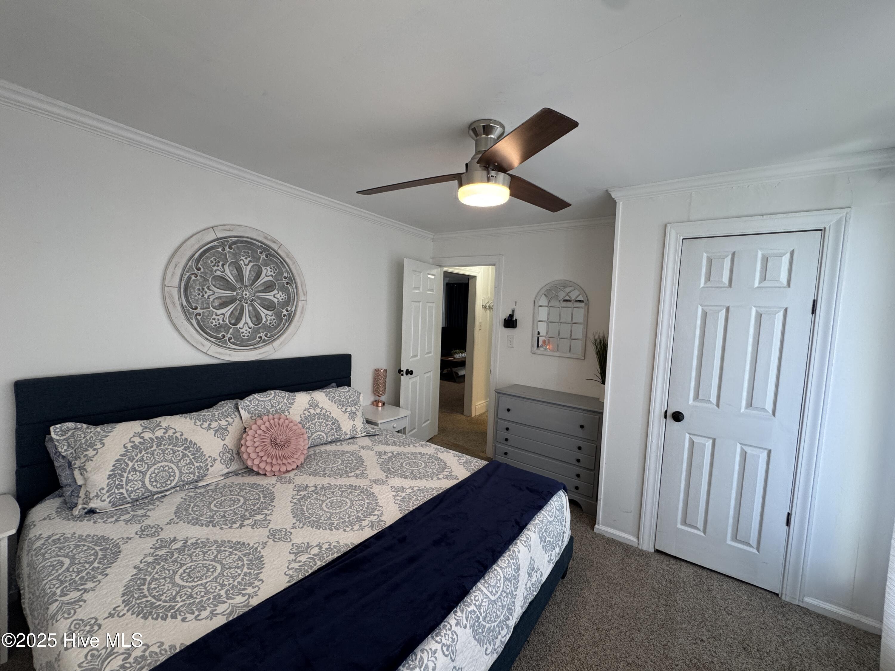 100515346 | Photo 14