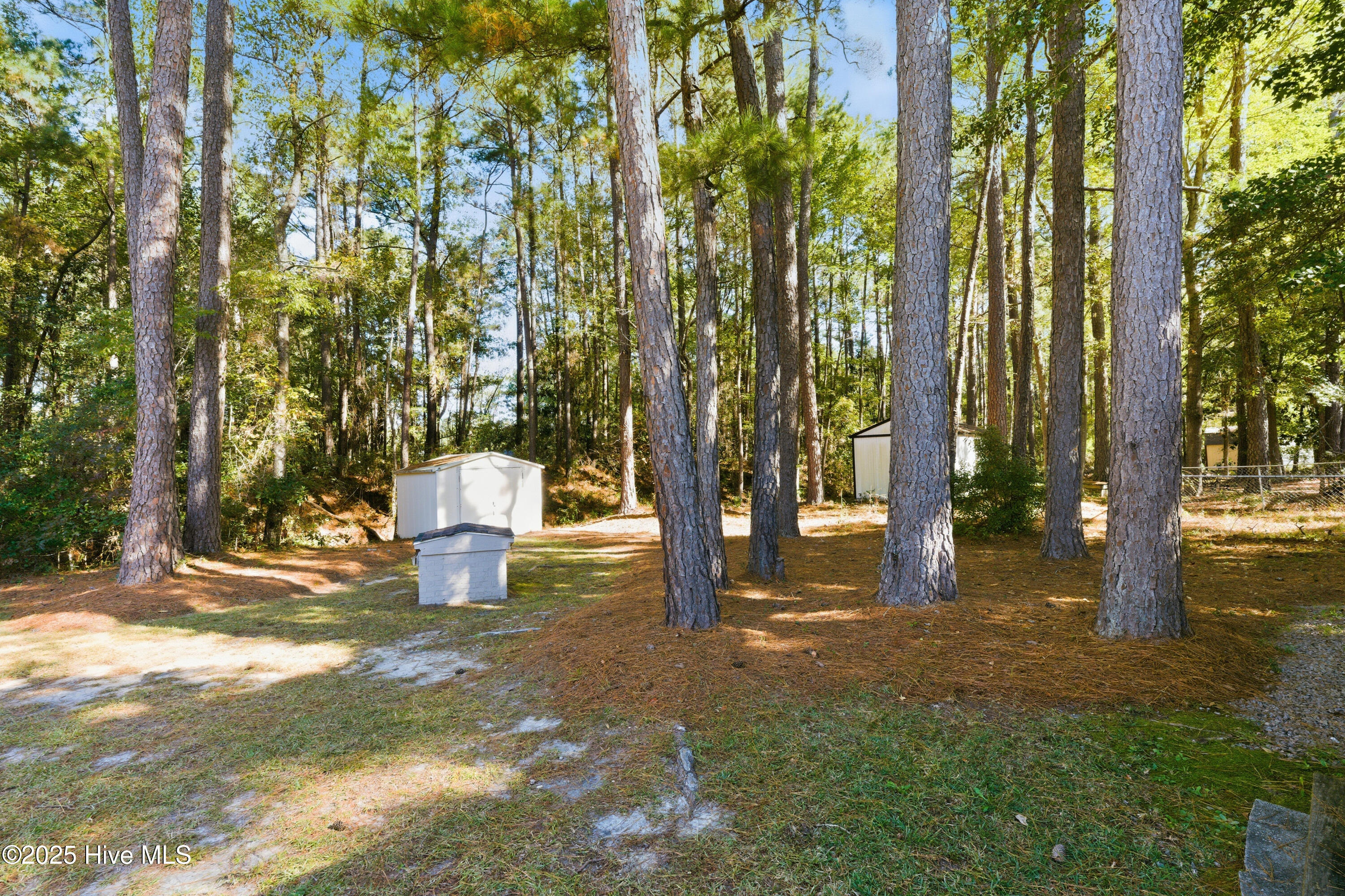 100538513 | Photo 15