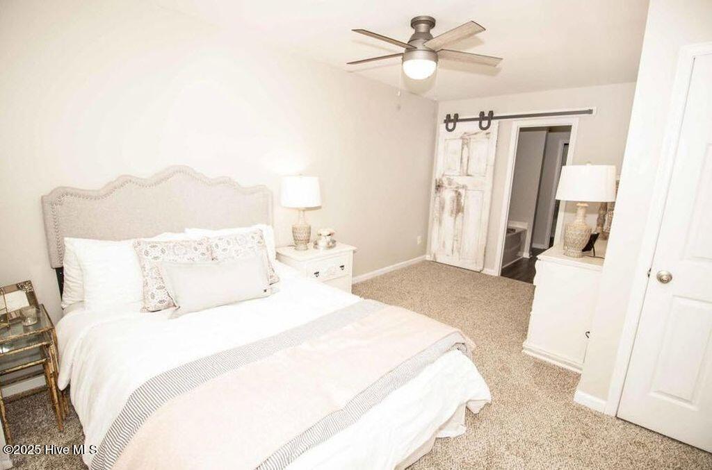 100564002 | Photo 10