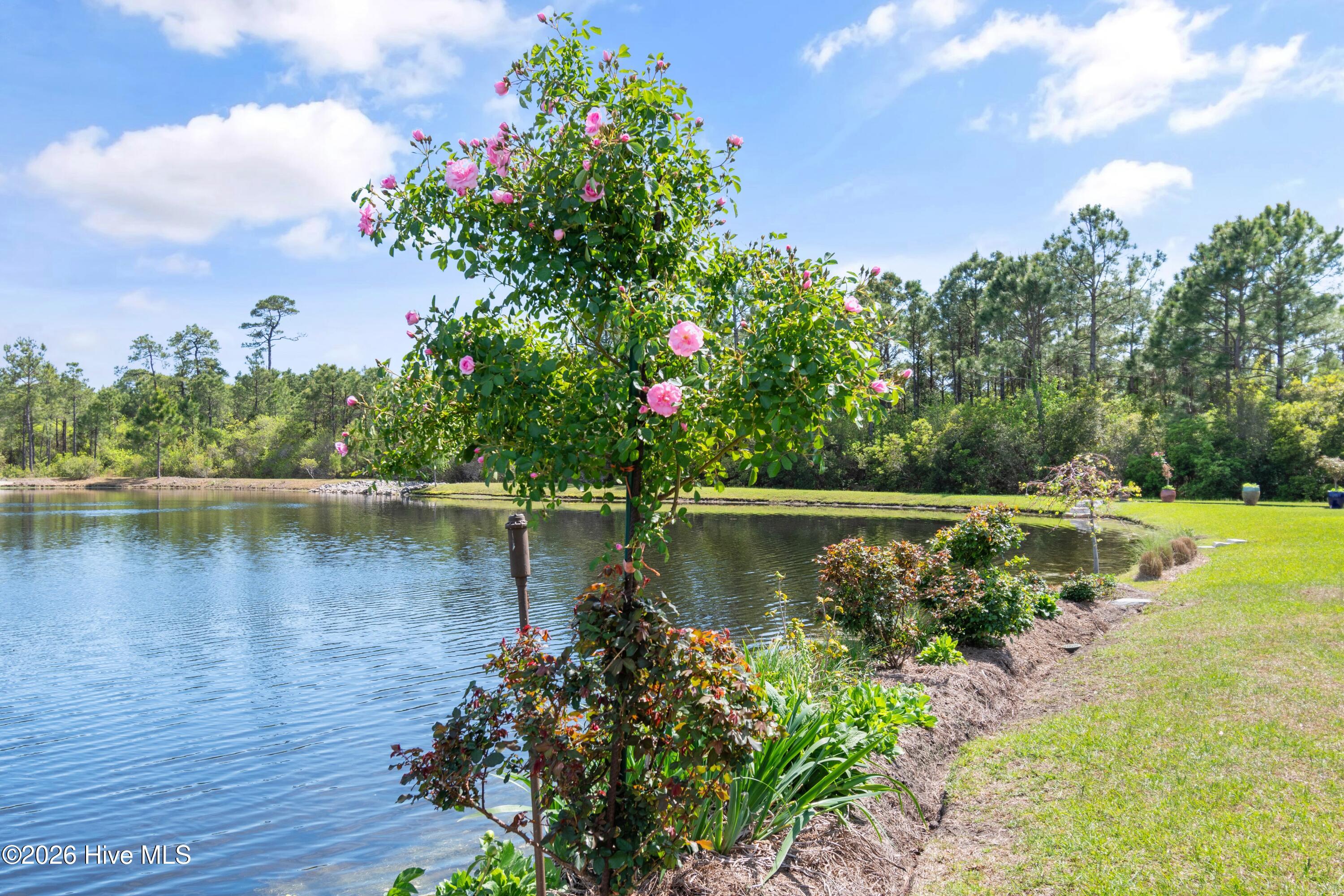 100560288 | Photo 92