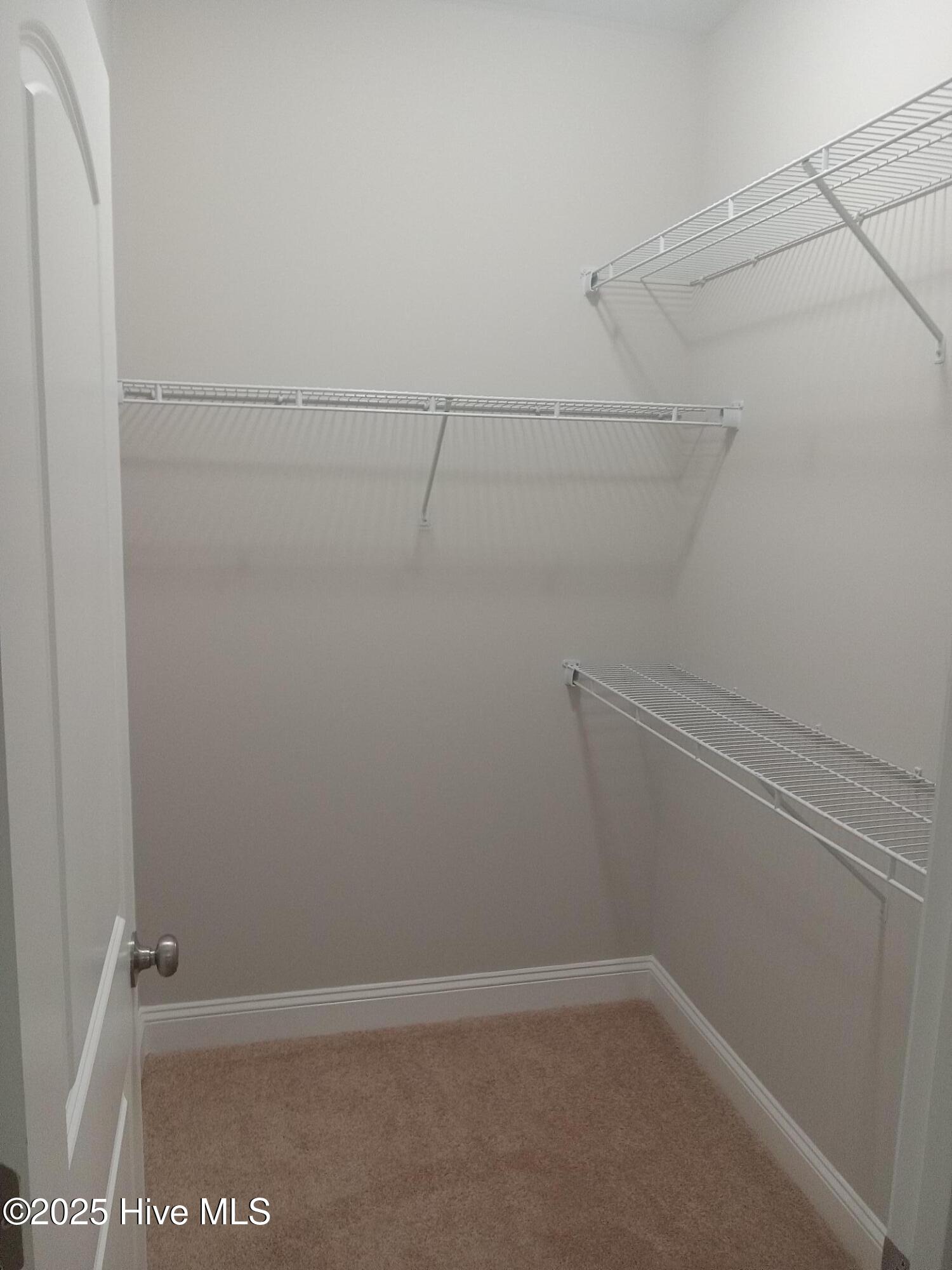 100521963 | Photo 14