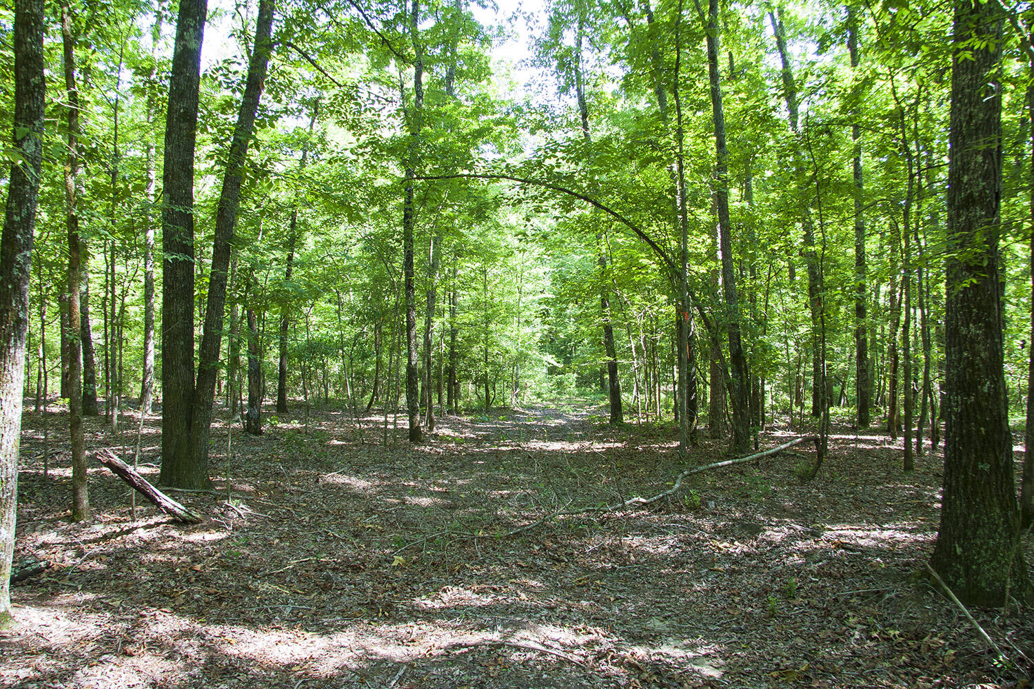 1515C HEPHZIBAH - MCBEAN Road, Hephzibah, GA, 30815