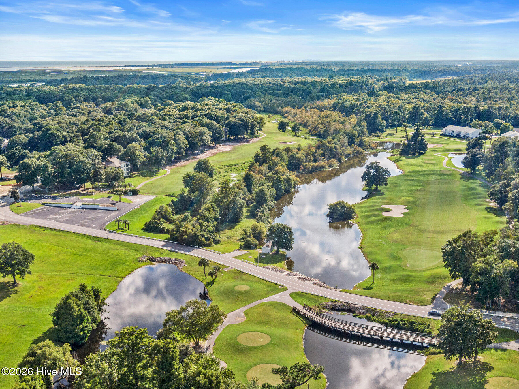 100562523 | Photo 10