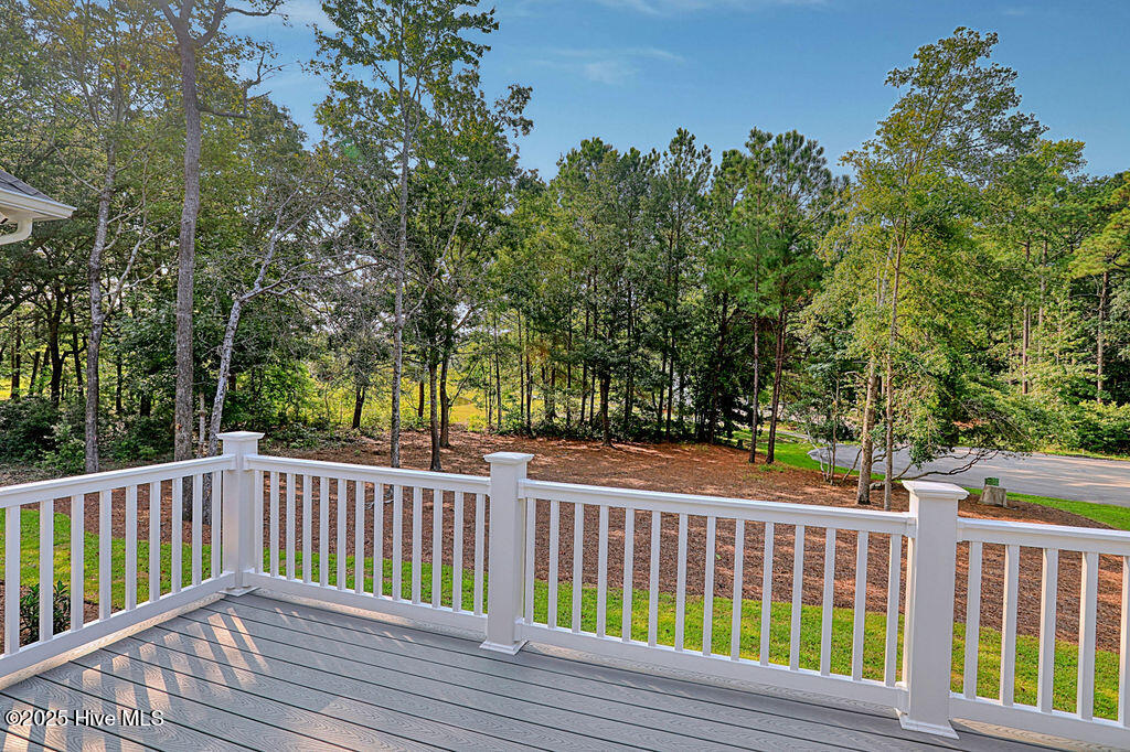 100499257 | Photo 63