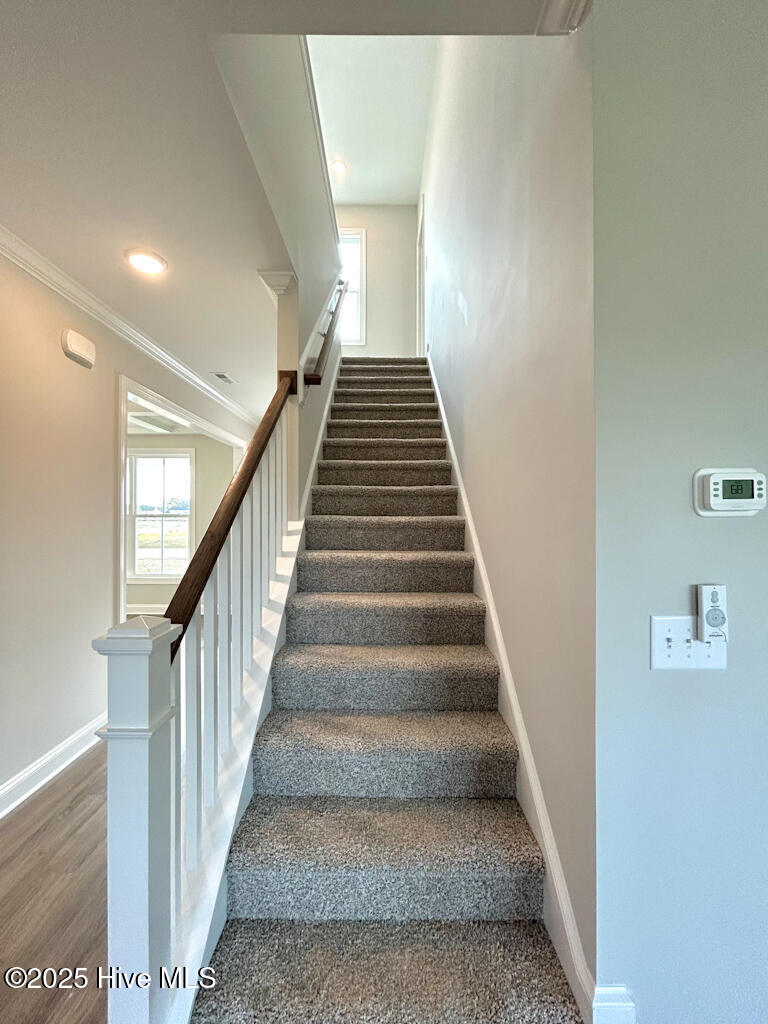 100535078 | Photo 30