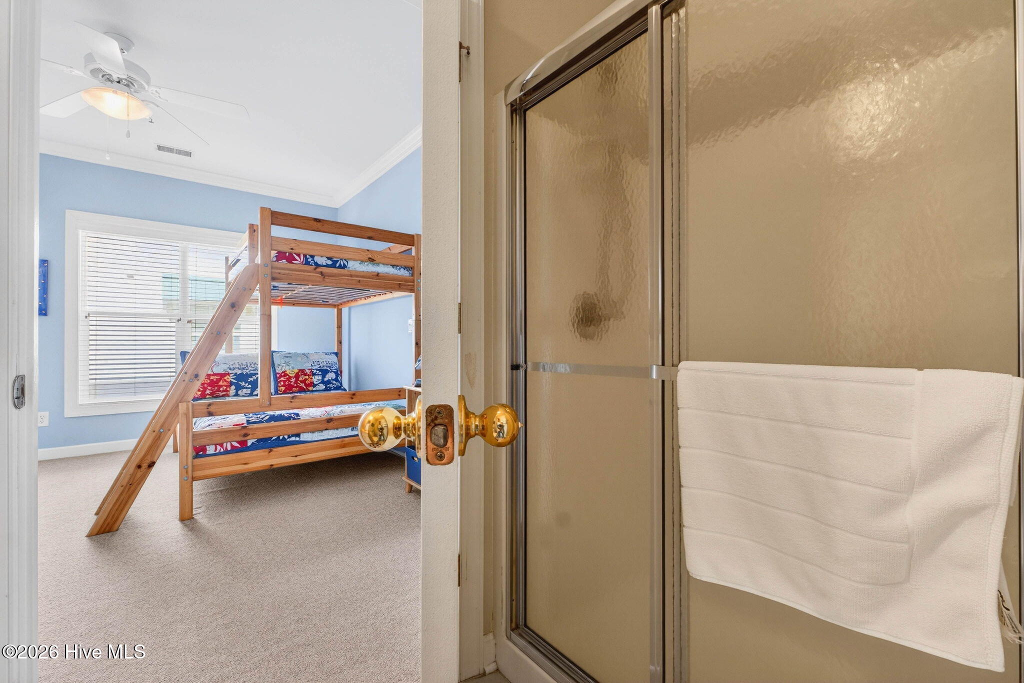 100555229 | Photo 21