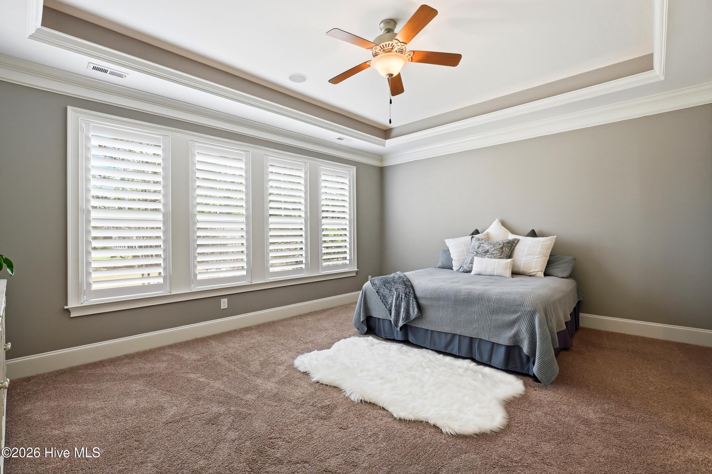 100567855 | Photo 25