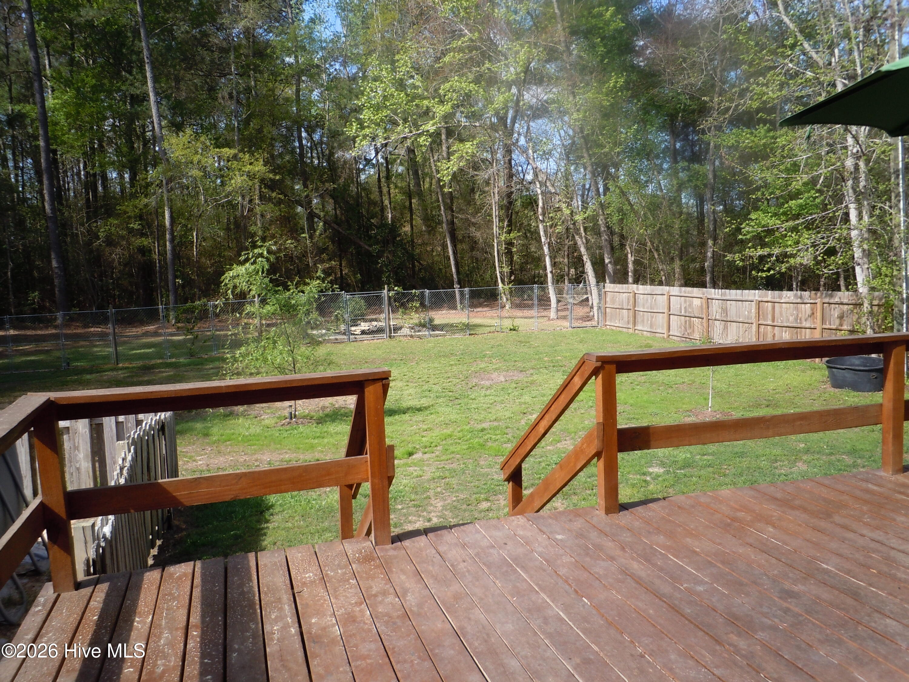 100565129 | Photo 82