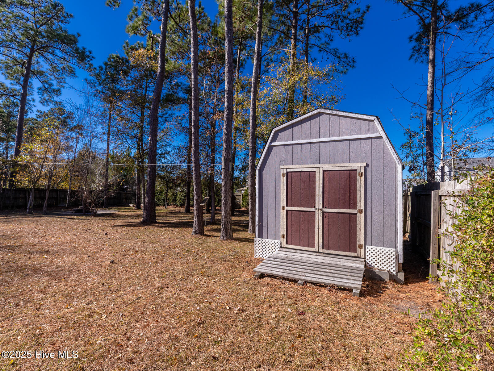 100546251 | Photo 48