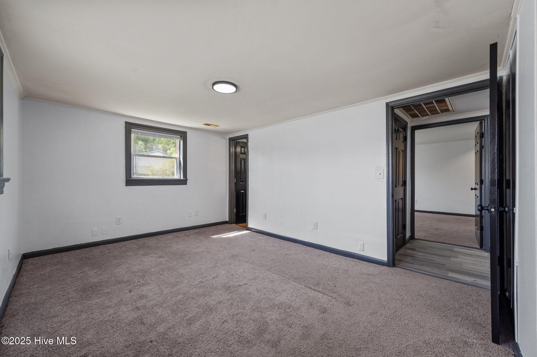 100534081 | Photo 25