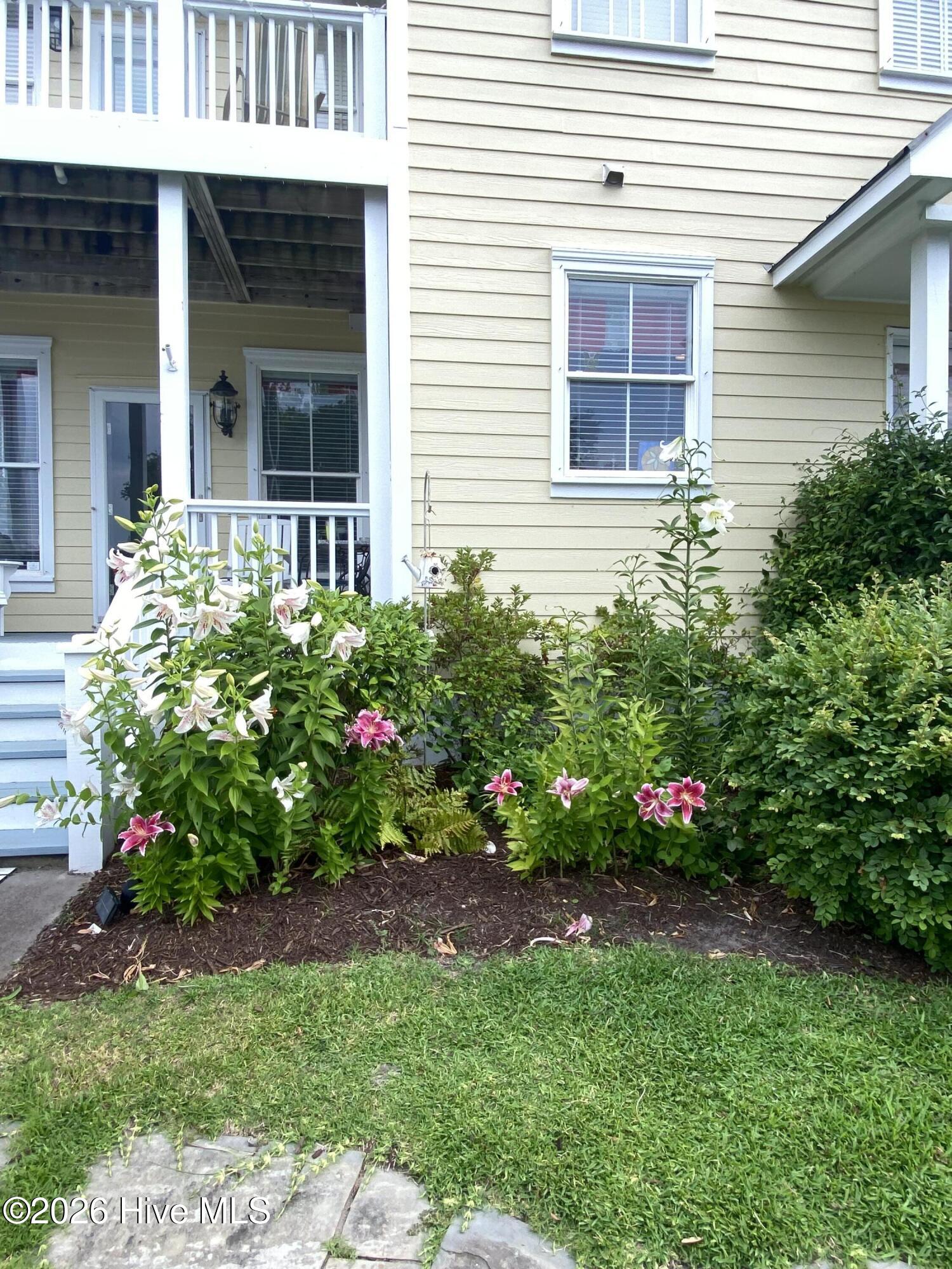 100566158 | Photo 65