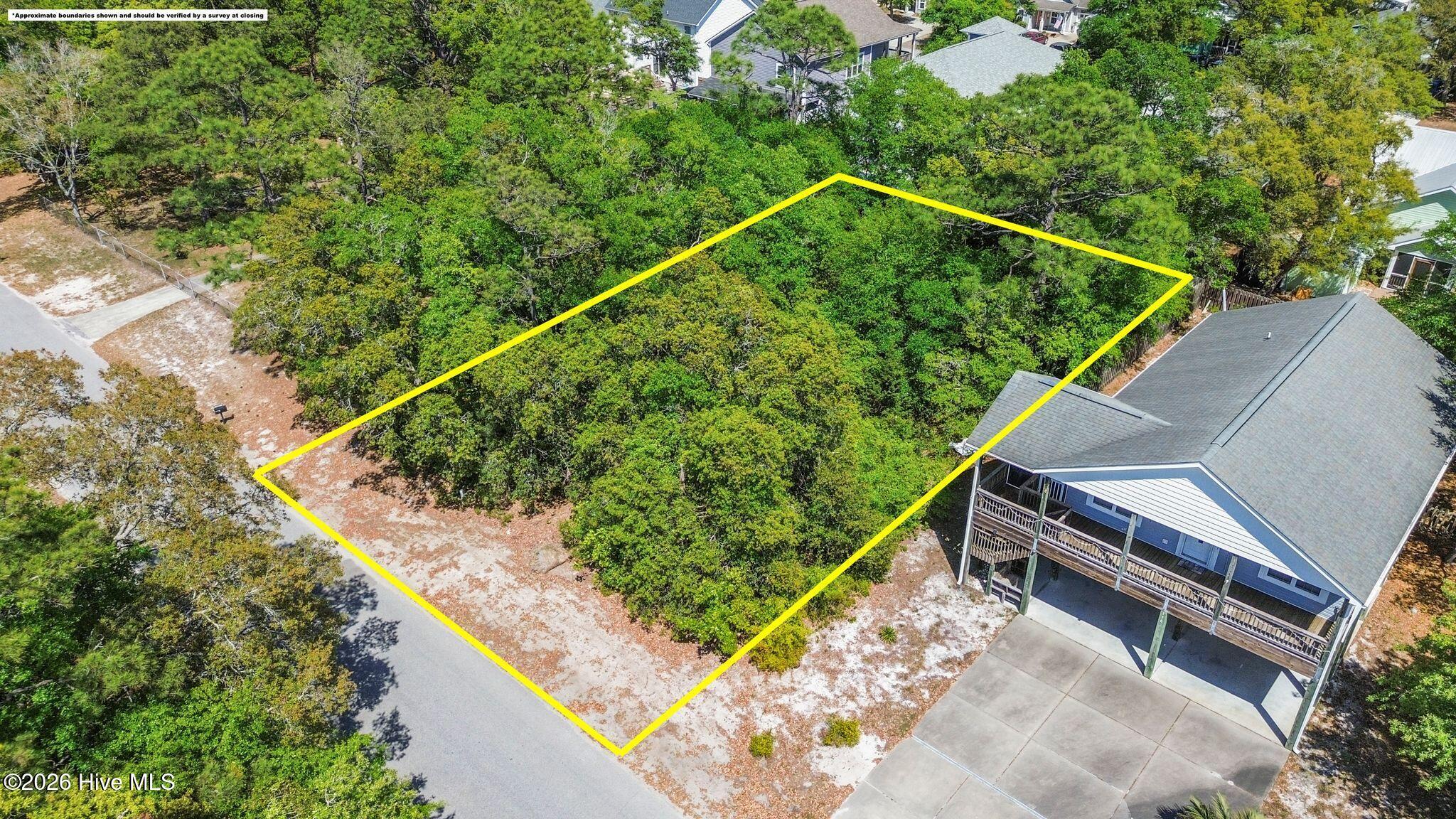 100569919 | Photo 11