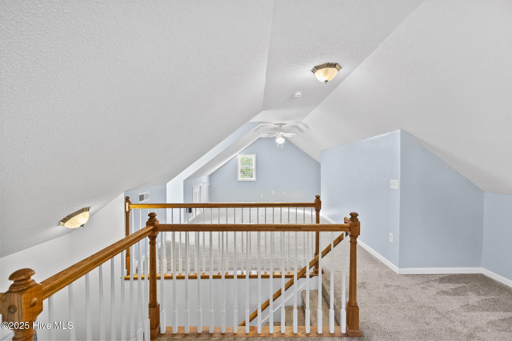 100546183 | Photo 50