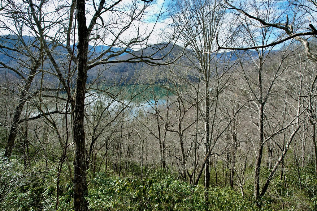 Homes for sale in Nantahala, NC | Lot 14 Holly Ridge Rd, Nantahala, NC 28781 | MLS# 98500220