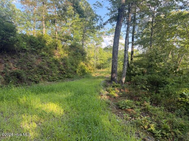 5th image of 13 Little Choga Rd, Topton, NC 28781 | MLS# 100595519