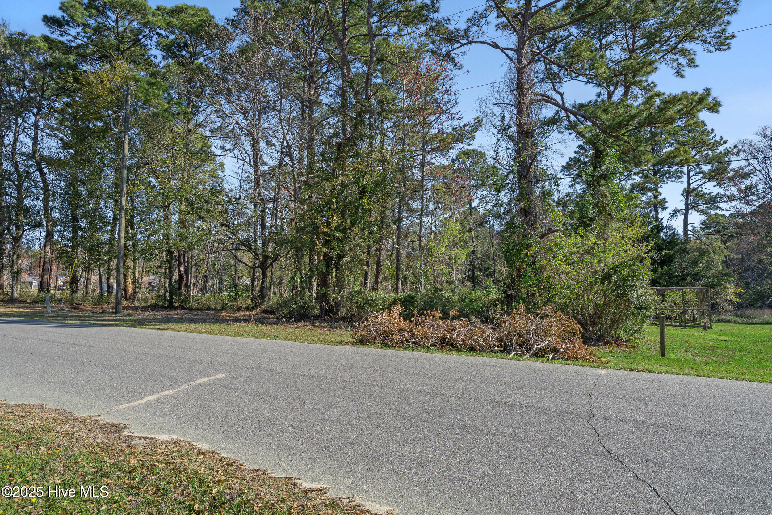 100504361 | Photo 13