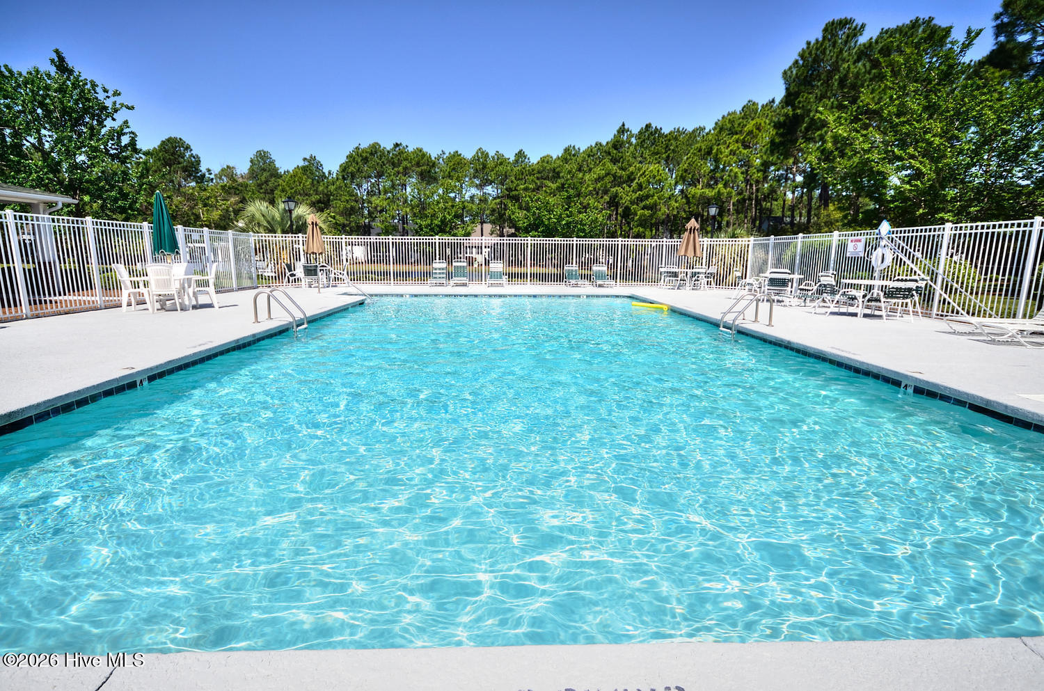 100556413 | Photo 71