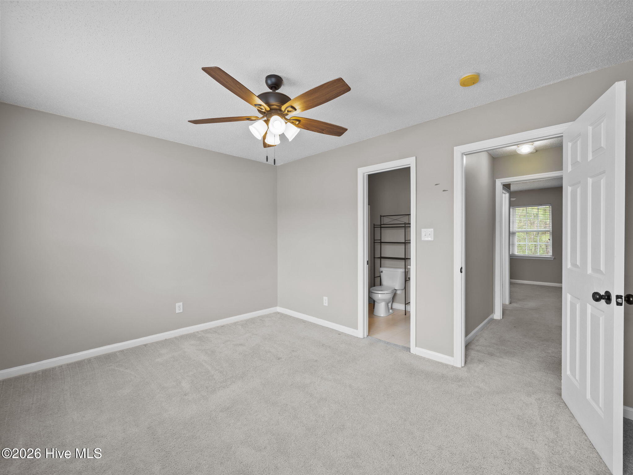 100565275 | Photo 15