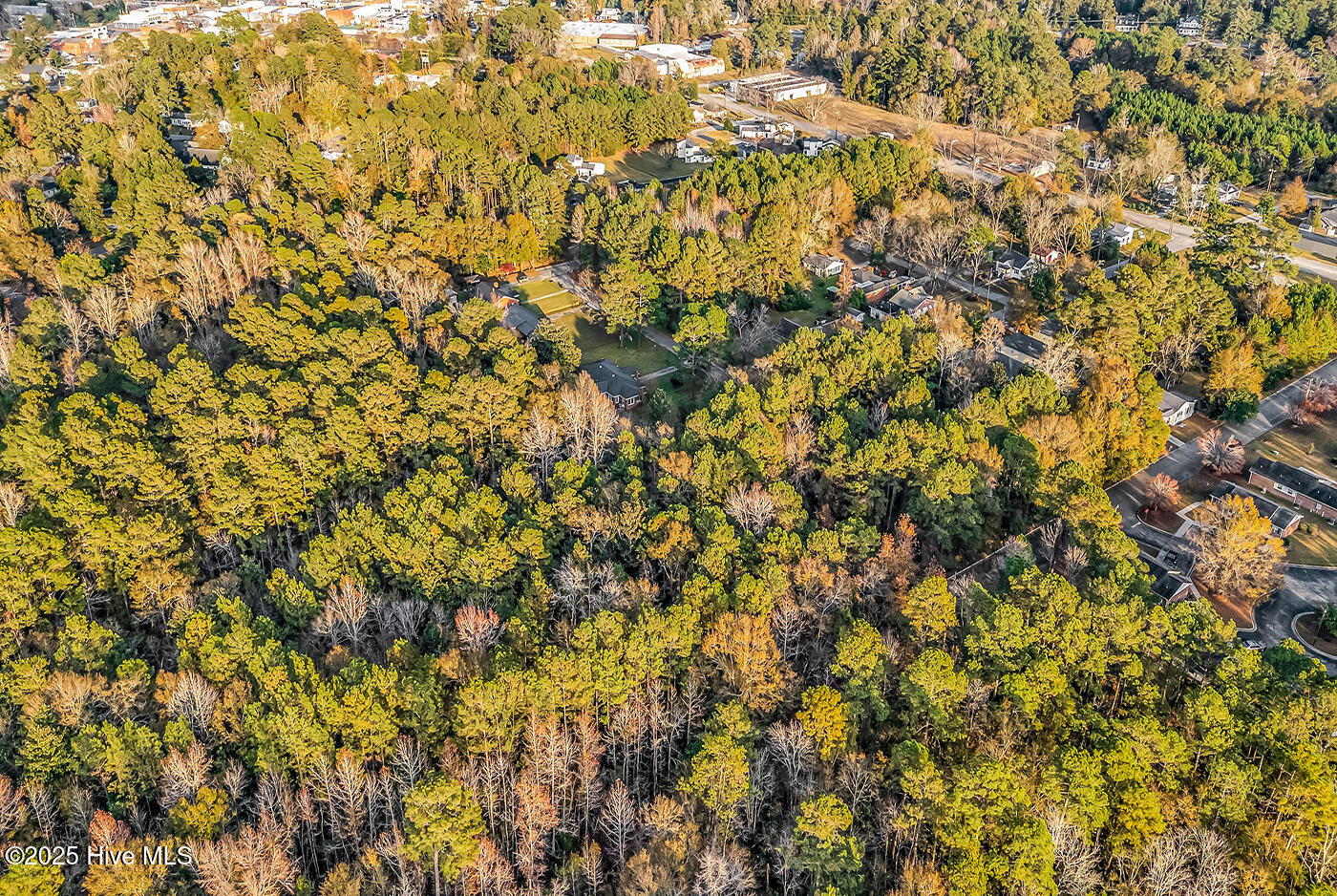 100542814 | Photo 11