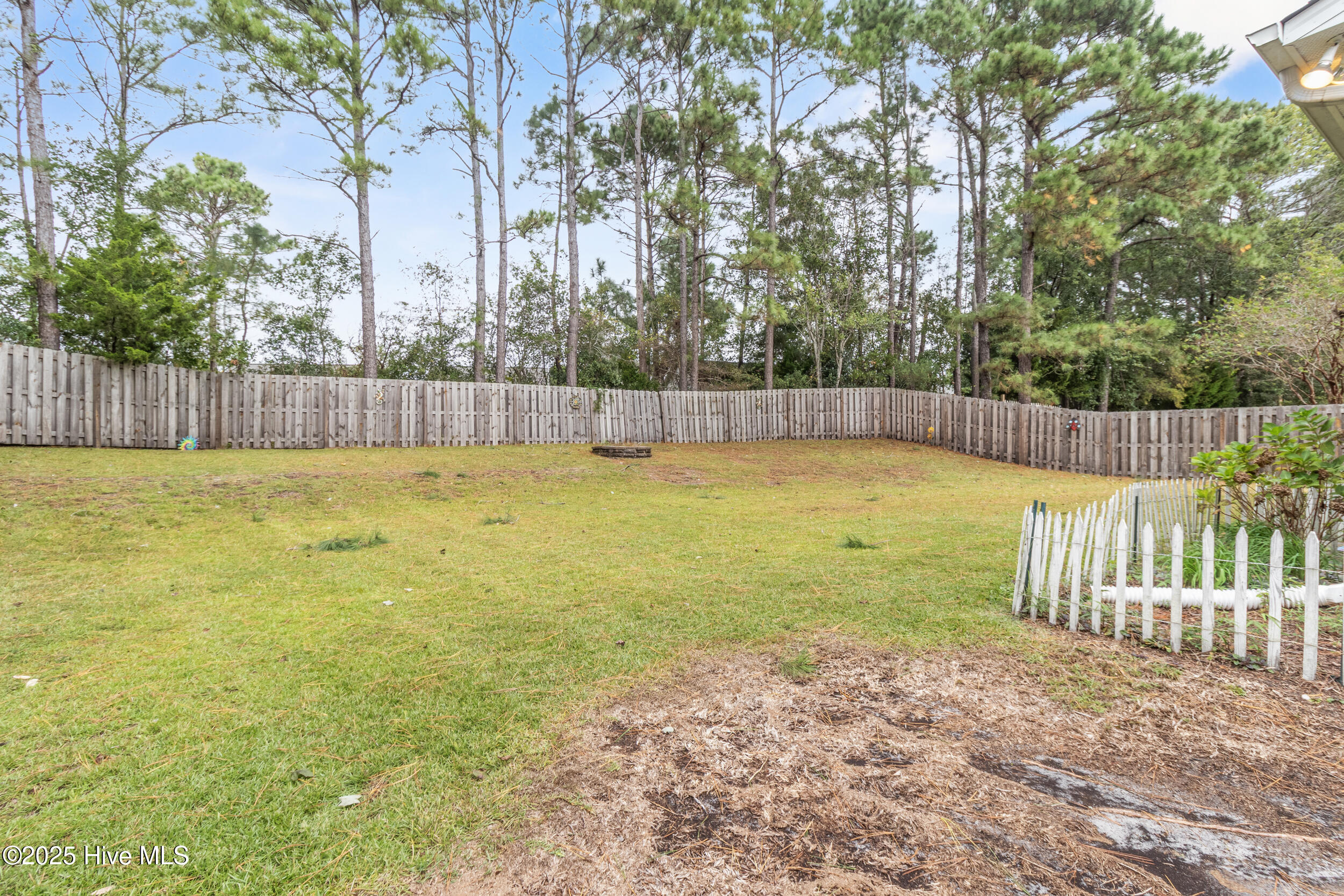 100536590 | Photo 40