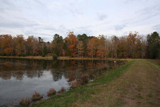 Double Branches Road, Lincolnton, GA 30817 Listing Photo  1