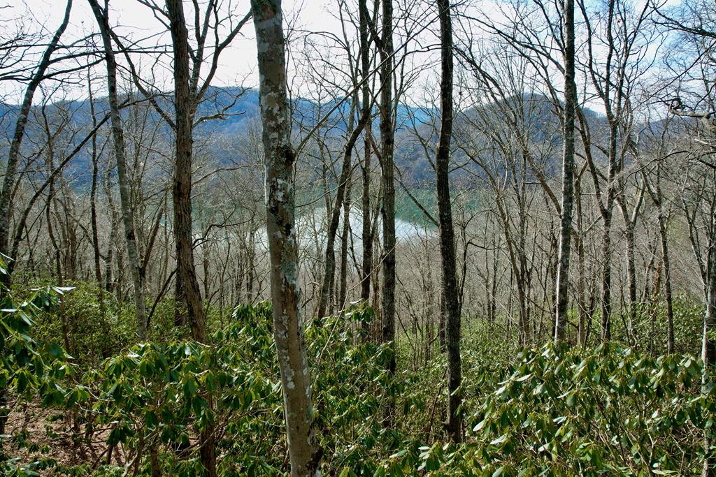 Homes for sale in Nantahala, NC | Tbd Zimmerman / Holly Ridge Rd, Nantahala, NC 28781 | MLS# 98522403