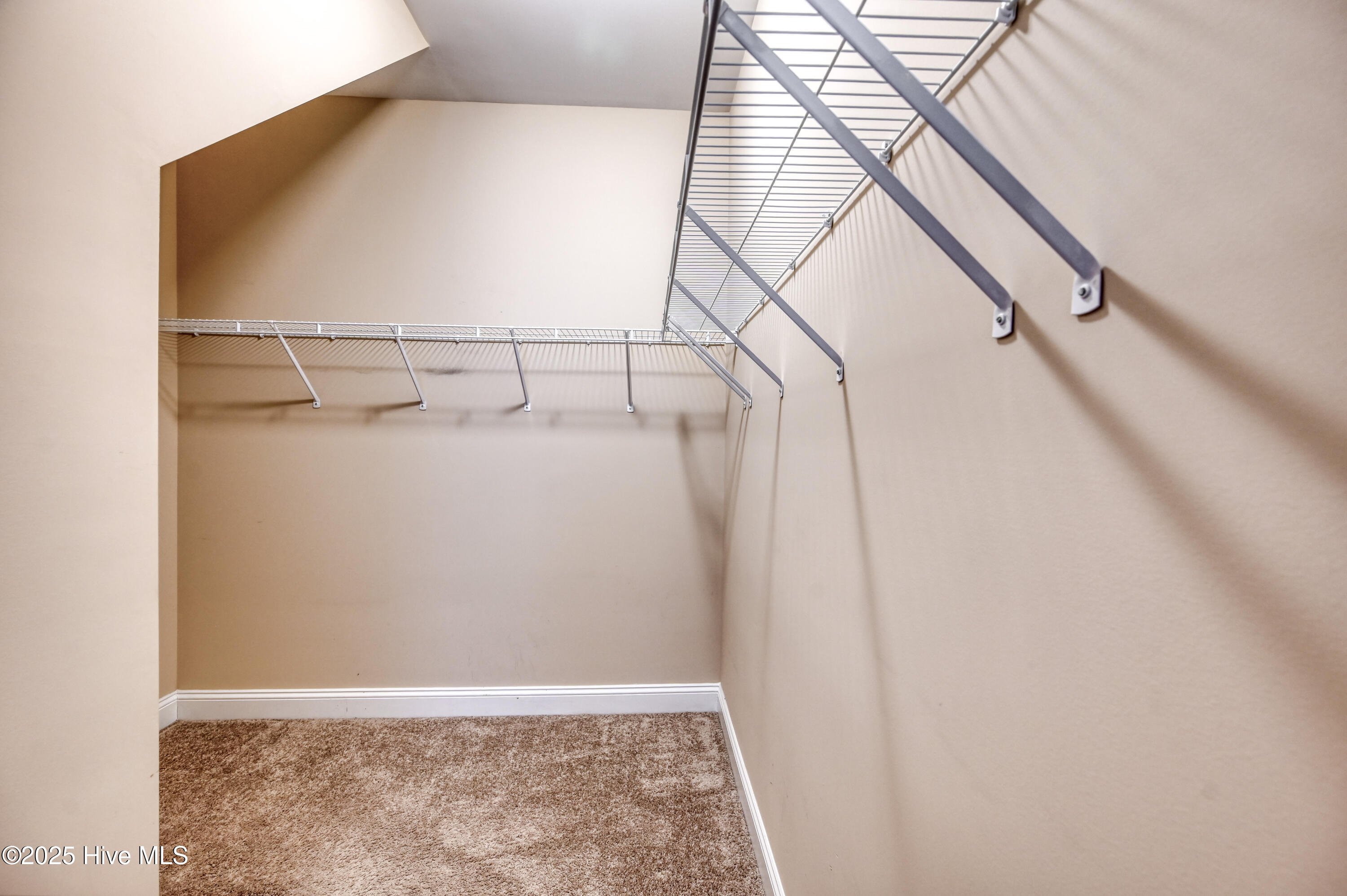 100531923 | Photo 23