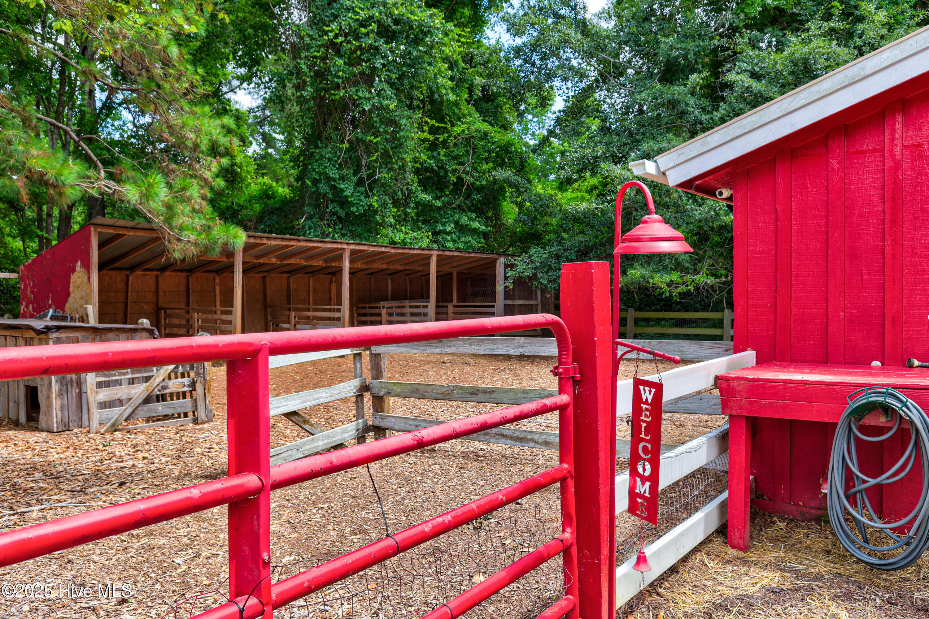 100562127 | Photo 67