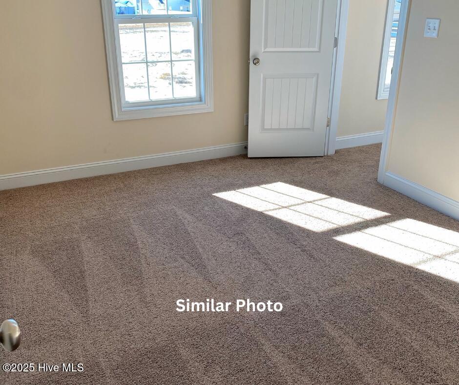 100525578 | Photo 31